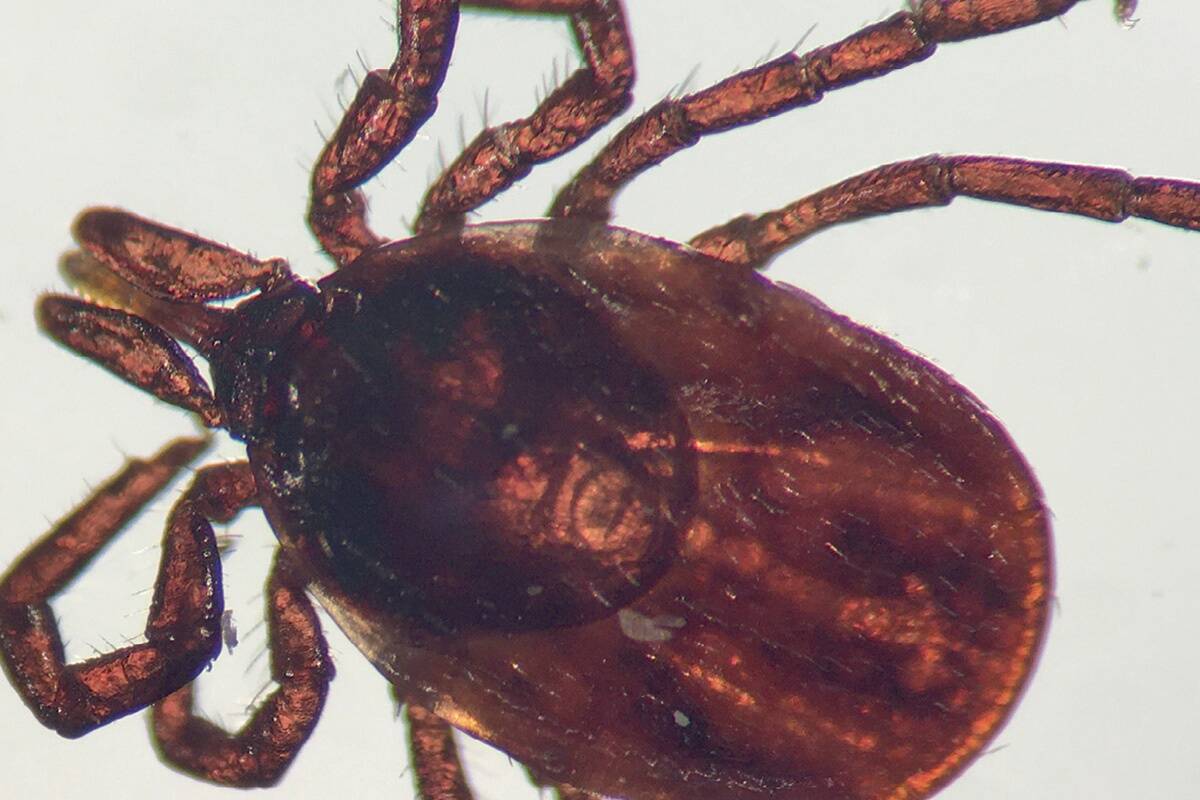 © Mihkel Maripuu / Postimees grupp / Scanpix baltics