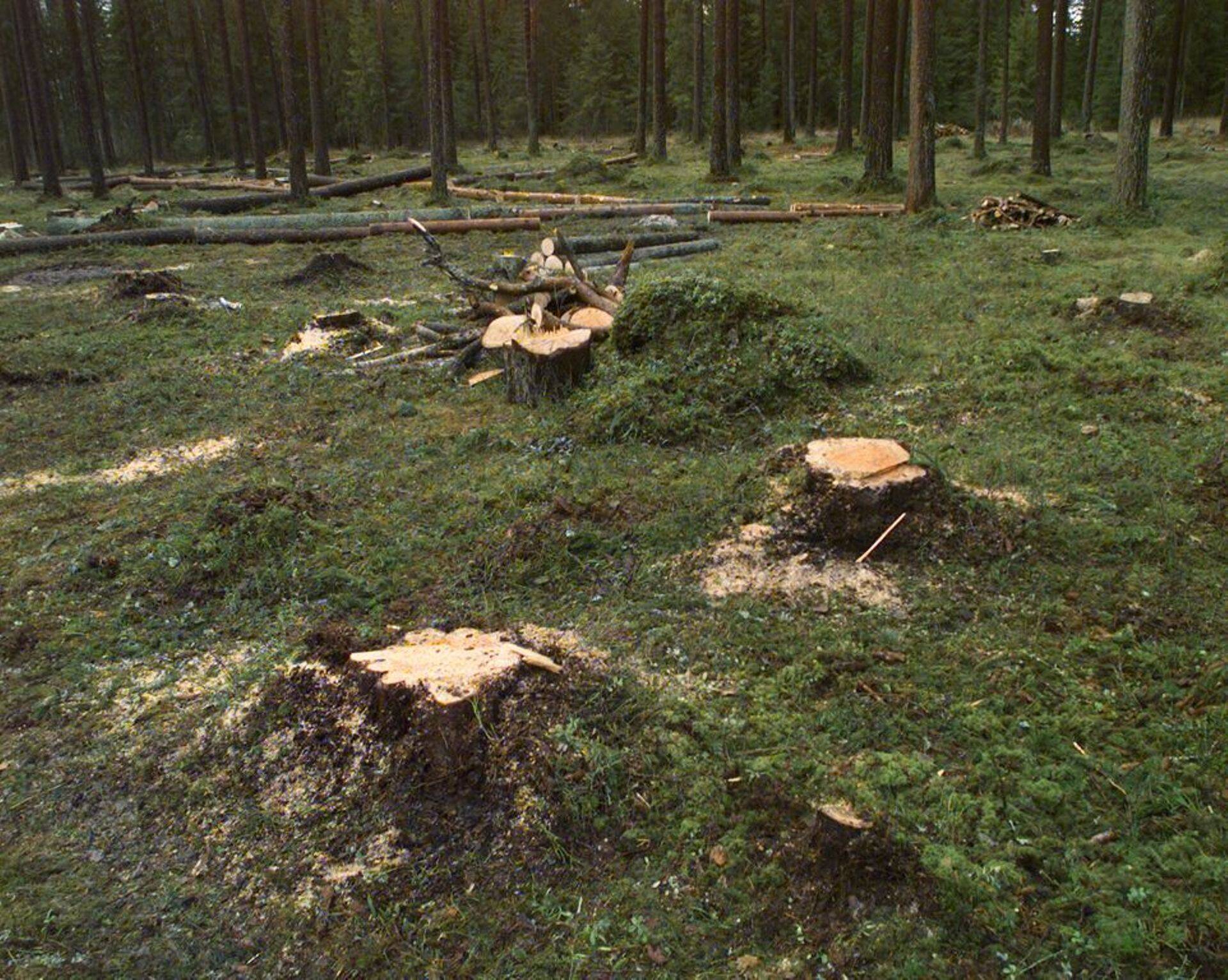 Vakra on metsaseaduse eelnõu rakendanud oma valimisvankri ette