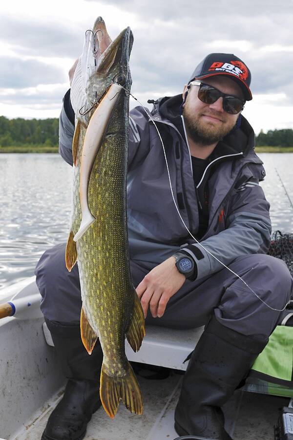 Hilissügisestel püükidel töötavad hästi Lucky Johni Kubira 23 ja 26 cm suurused mudelid.