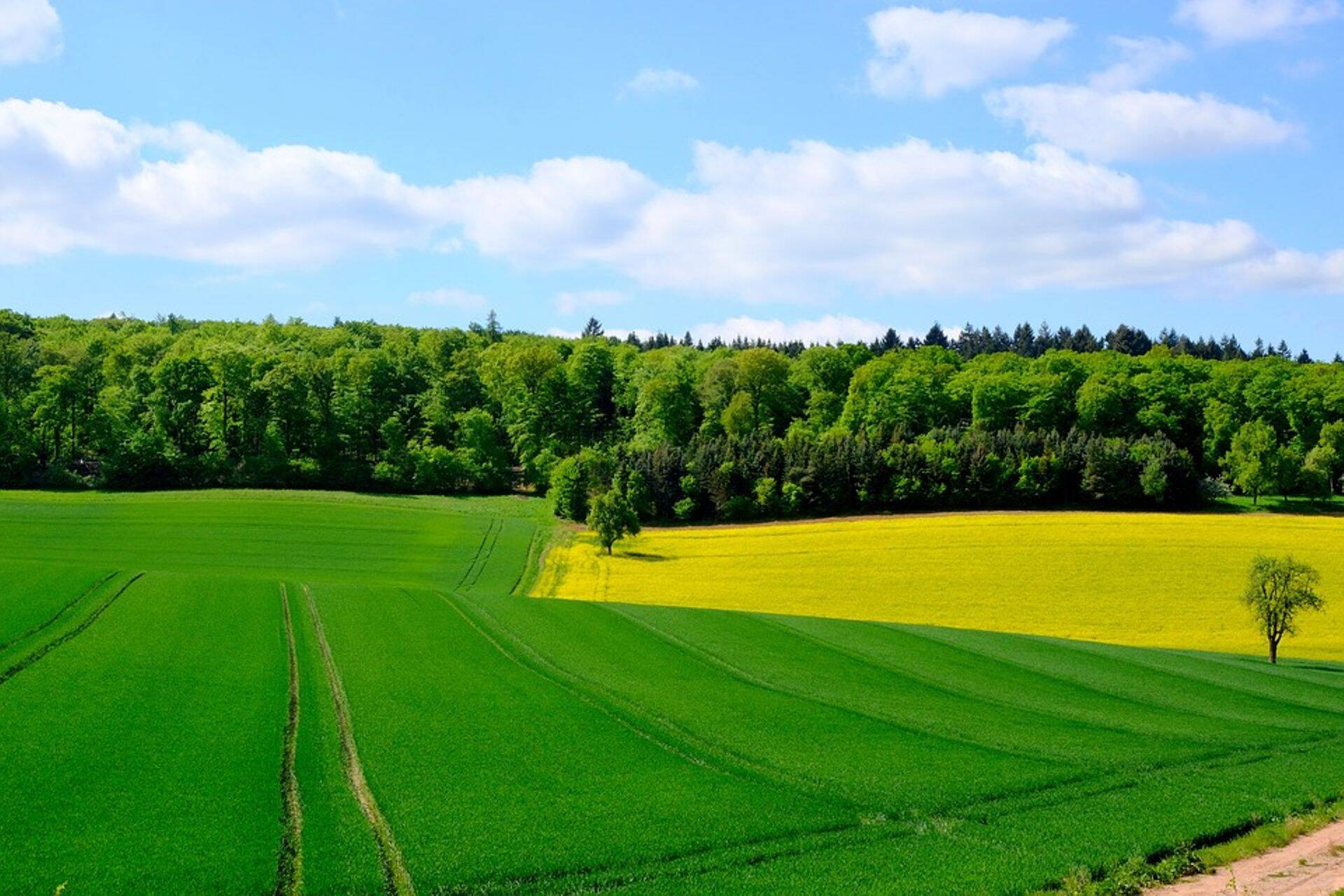 Eestil on ühed ELi kõige terviklikumad tegevuskavad Natura 2000 alade rahastamisel.