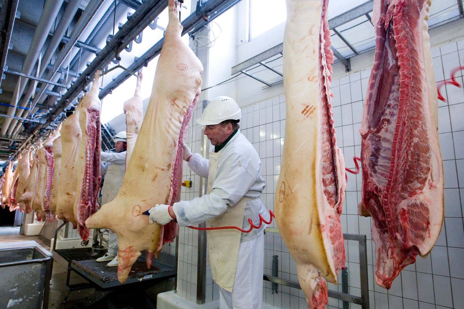 Rakvere lihakombinaat.