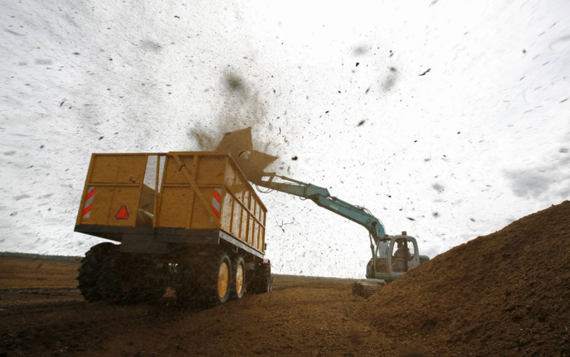 Turbatootjal kopsakas dividend