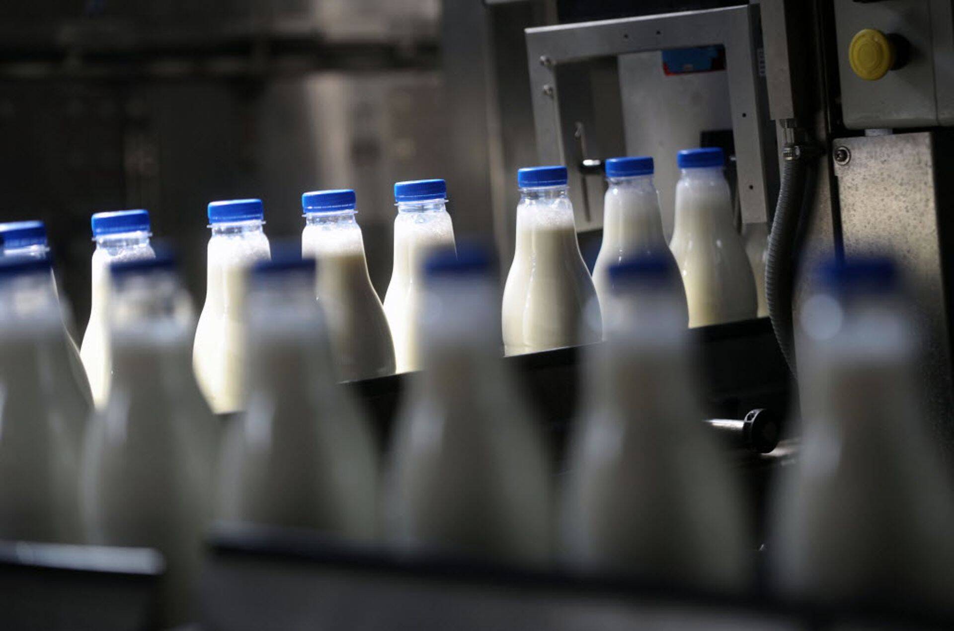 Läti suurim piimakontsern laiendab Baltikumis võimsalt haaret.