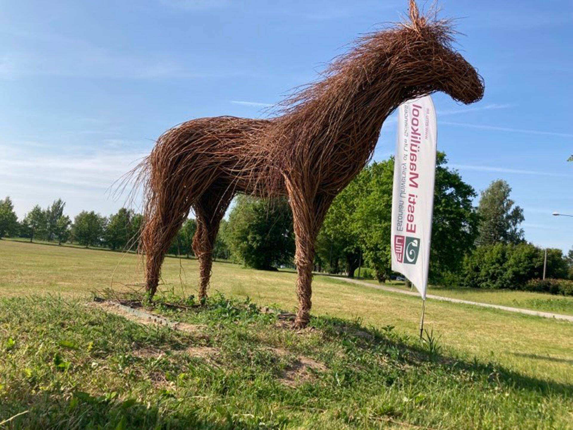 Hobuse kuju Maaülikooli linnakus.