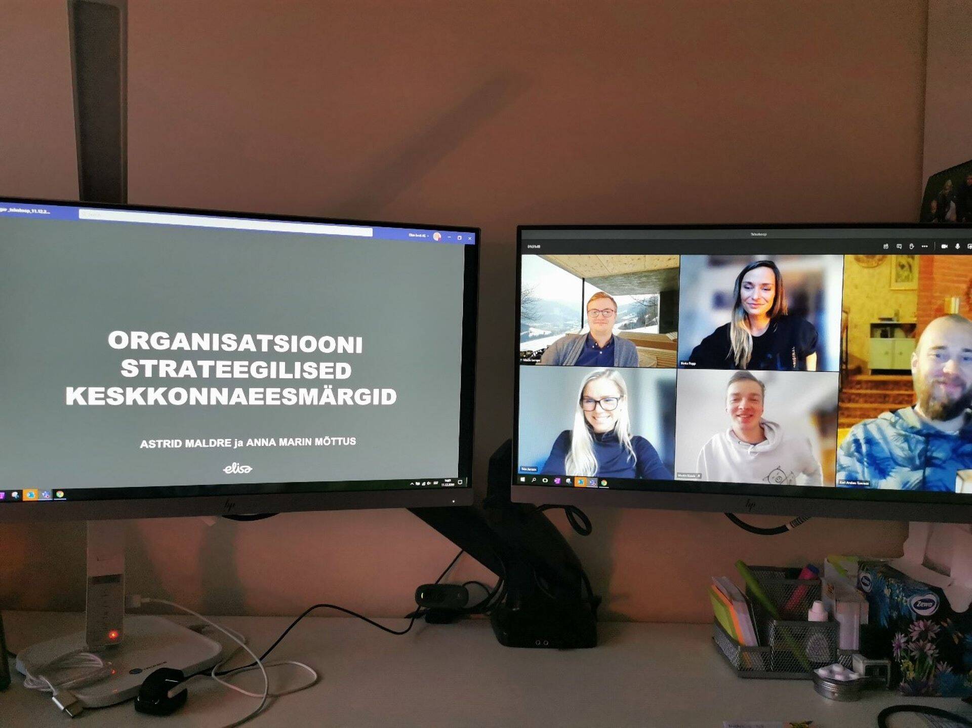 Jätkusuutlikkuse eesmärkide tutvustamine Elisa töötajatele kodukontorist.