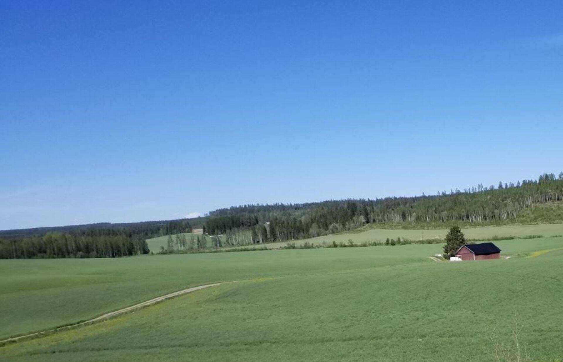 Rohumaa Lõuna-Soomes asuvas farmis.