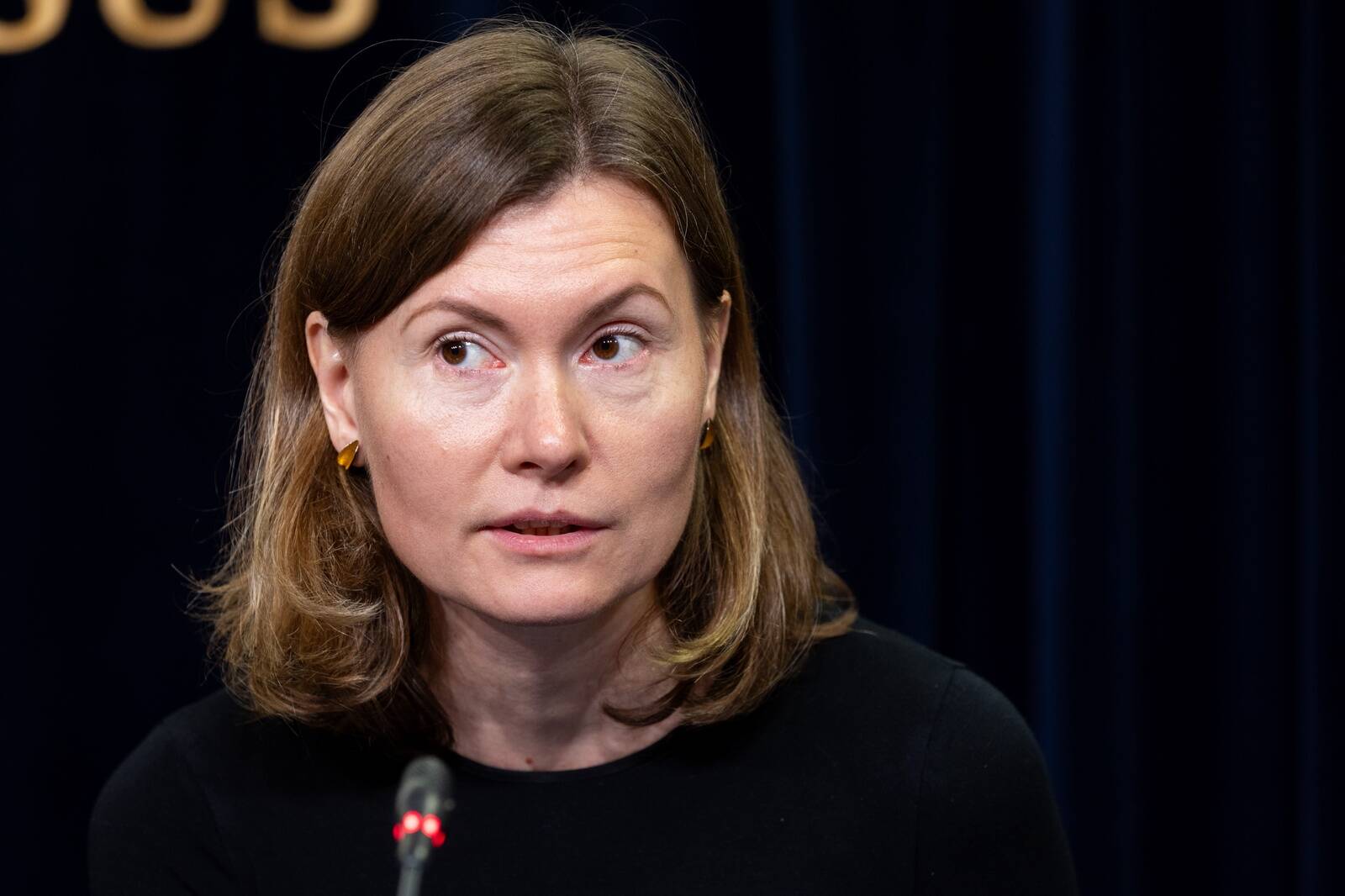 Riigikogu liige Riina Sikkut (SDE).