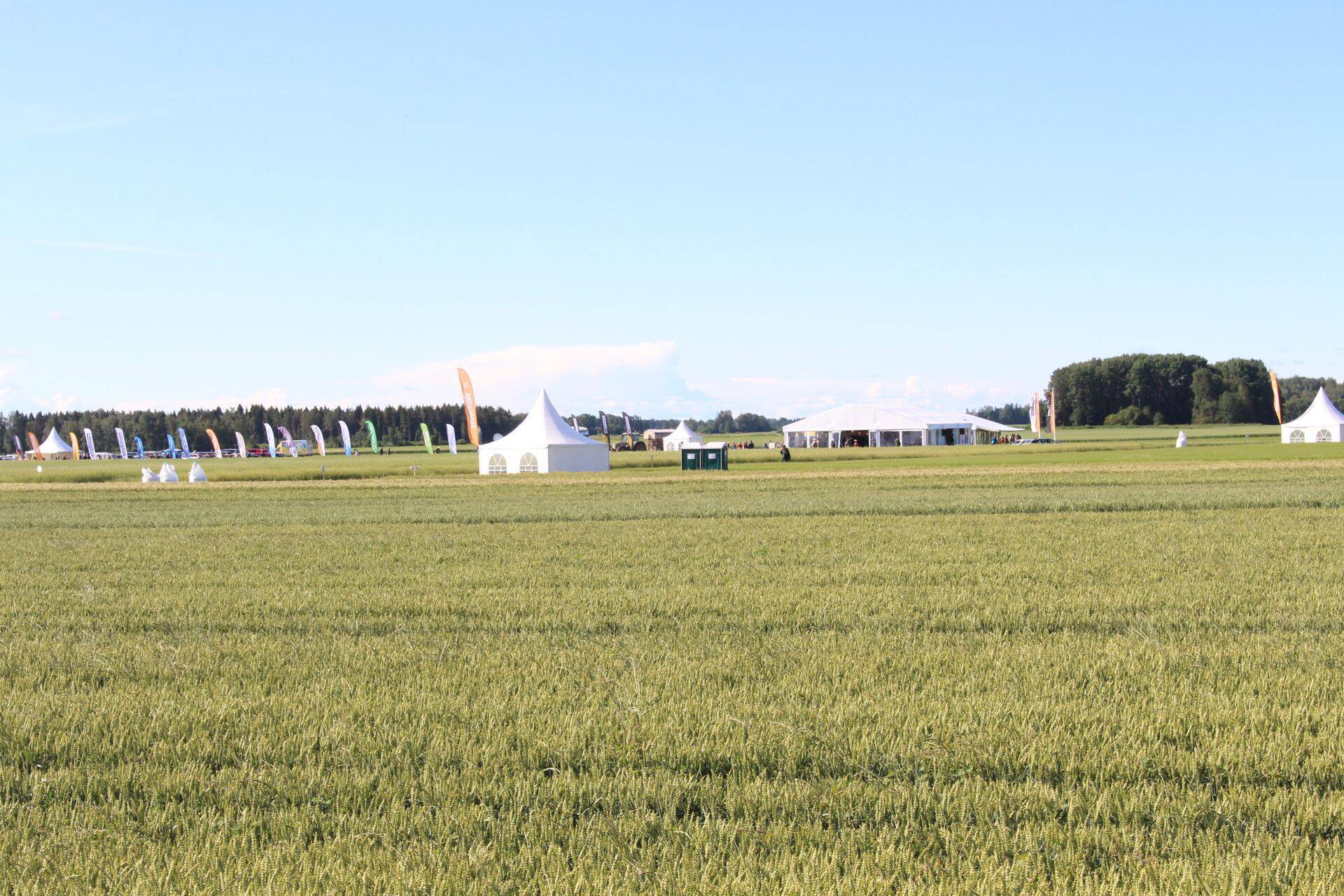 Scandagra suur põllupäev. Fotod: Meelika Sander-Sõrmus ja Aare Hindremäe.