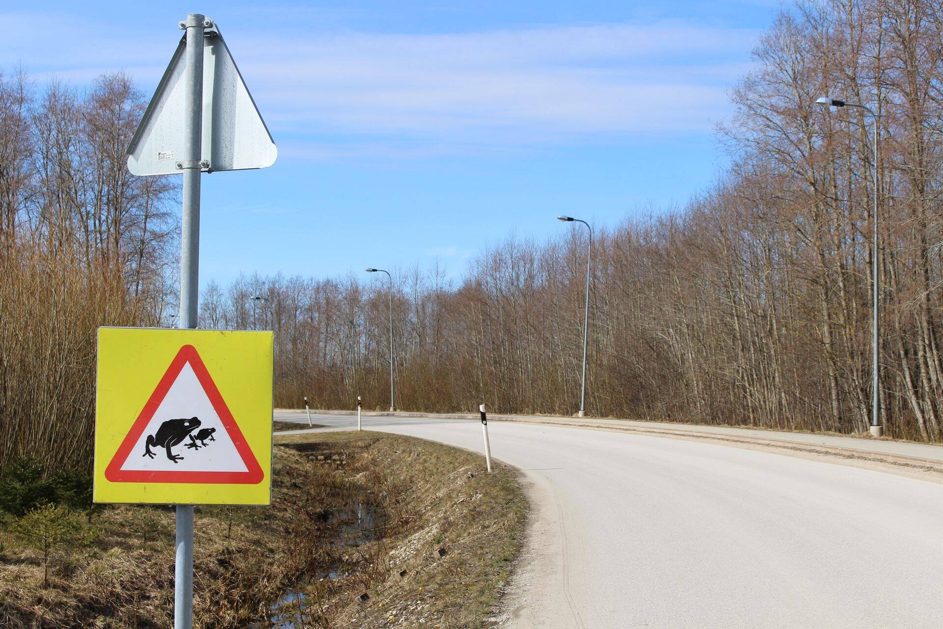 Algas suur kevadine konnade ränne ja konnatalgud