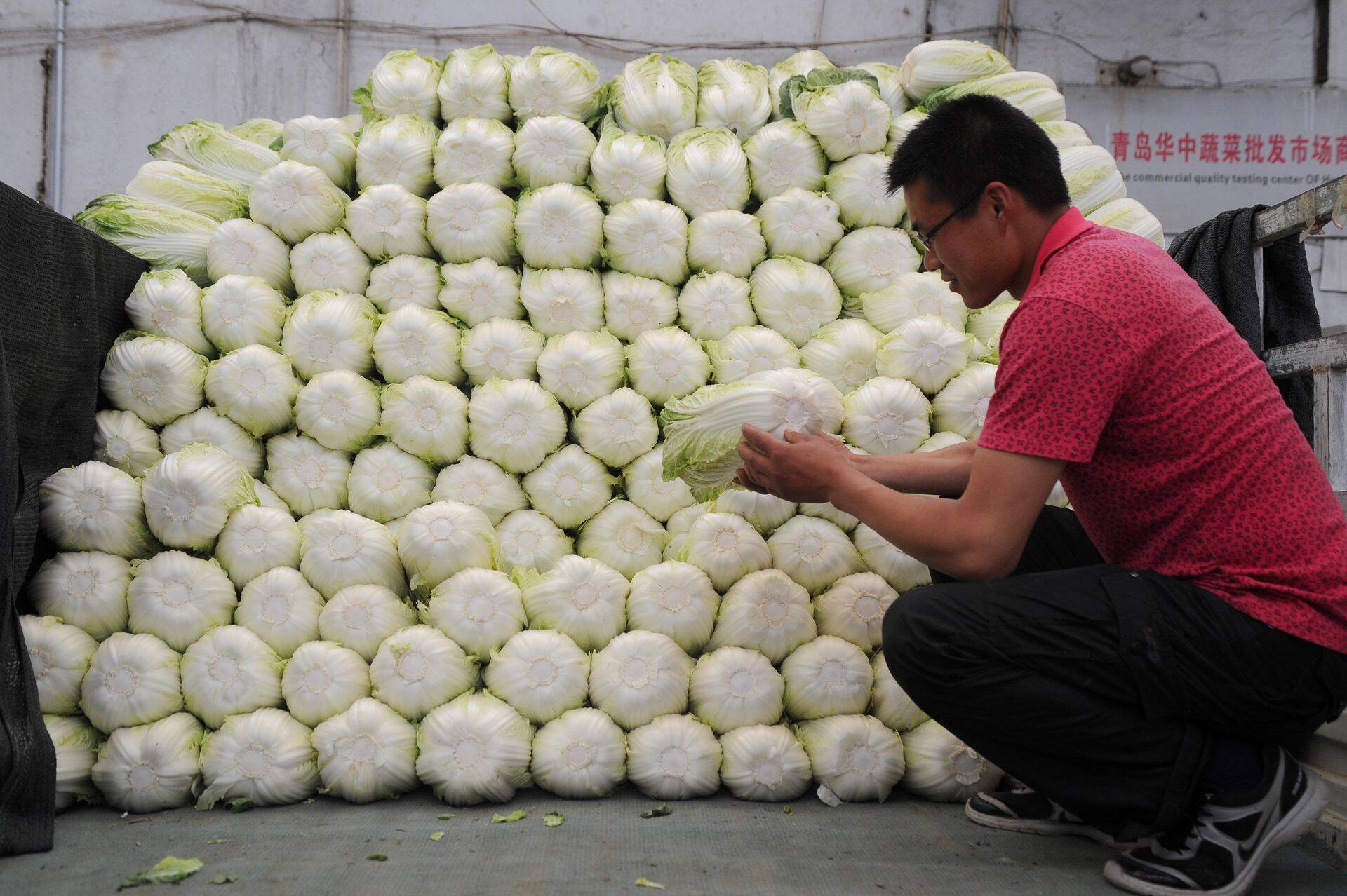 Hiina kapsamüüja enda saaki üle vaatamas.