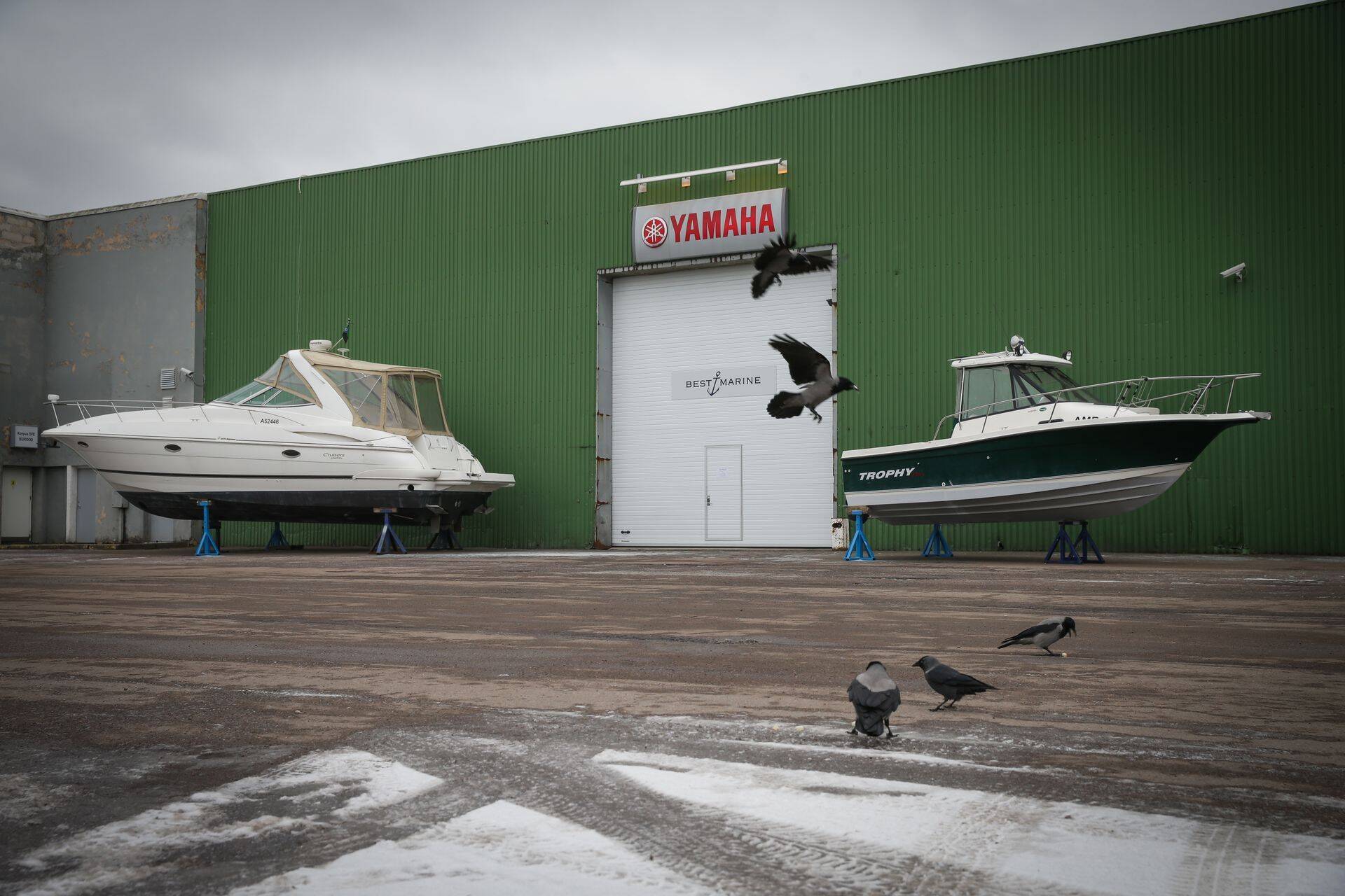 Ettevõtte Baltic Boat Centeri asemel on Pirital koha sisse võtnud Riho Kalvele kuuluv Best Marine