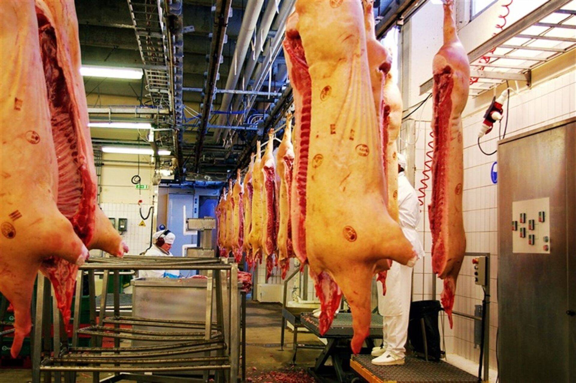 HKScani Rakvere Lihatööstus