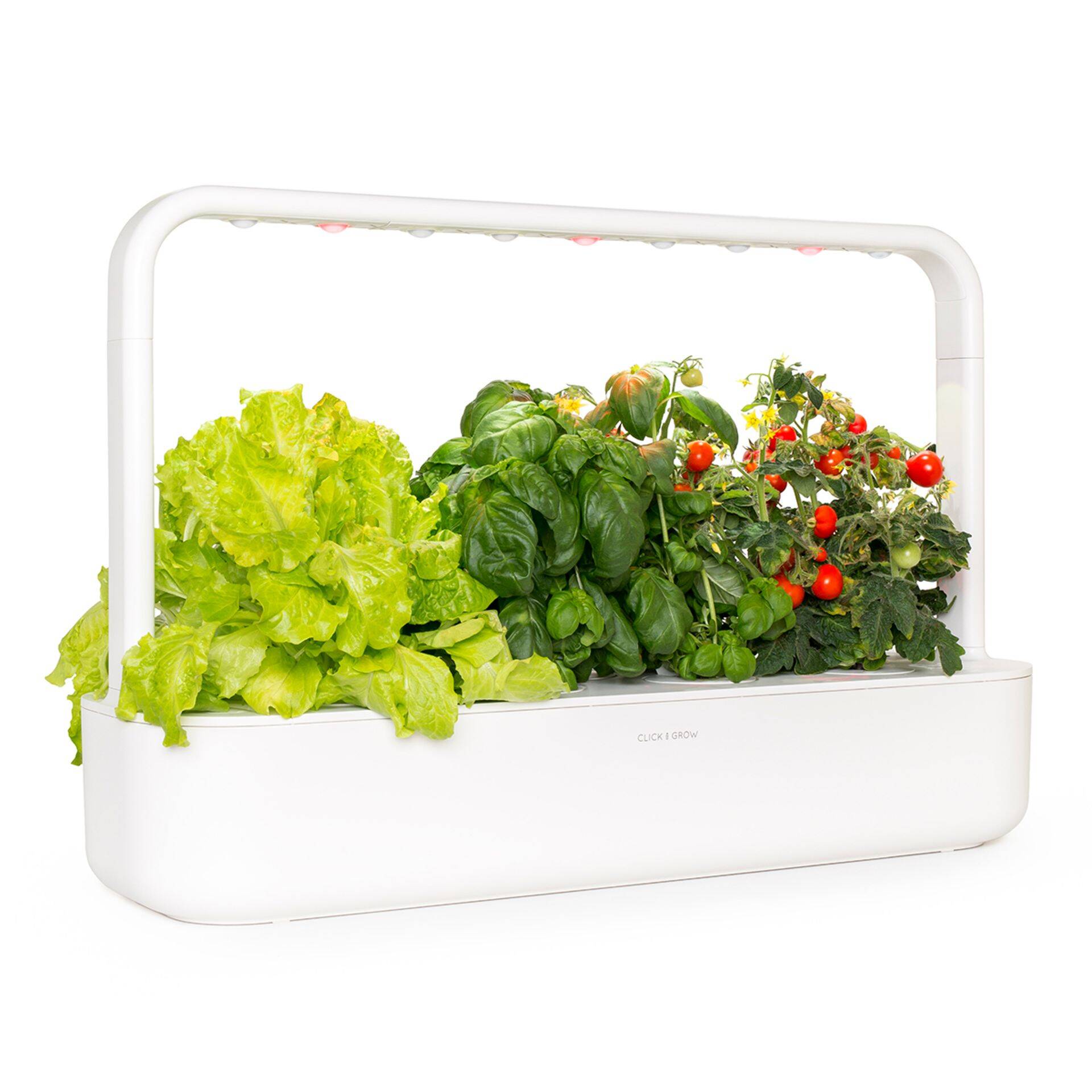 Eesti idufirma Click & Grow nutiaed.