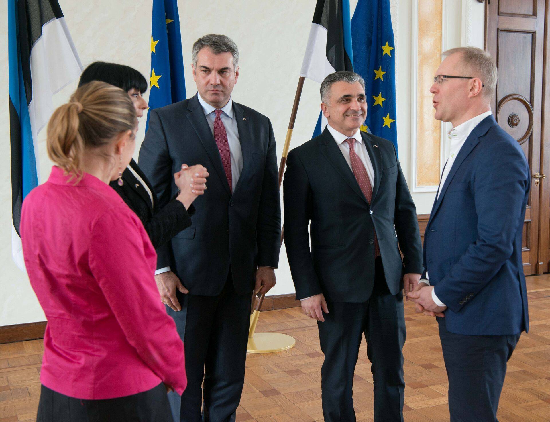 Хансо: Грузия должна соответствовать стандартам НАТО