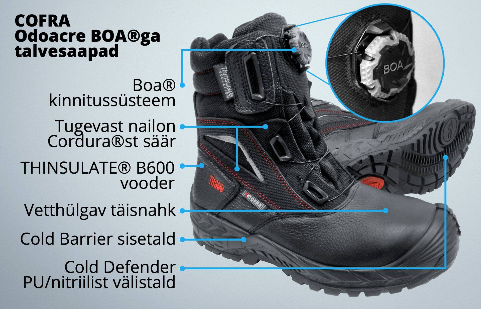 Cofra talvesaabaste omadused.