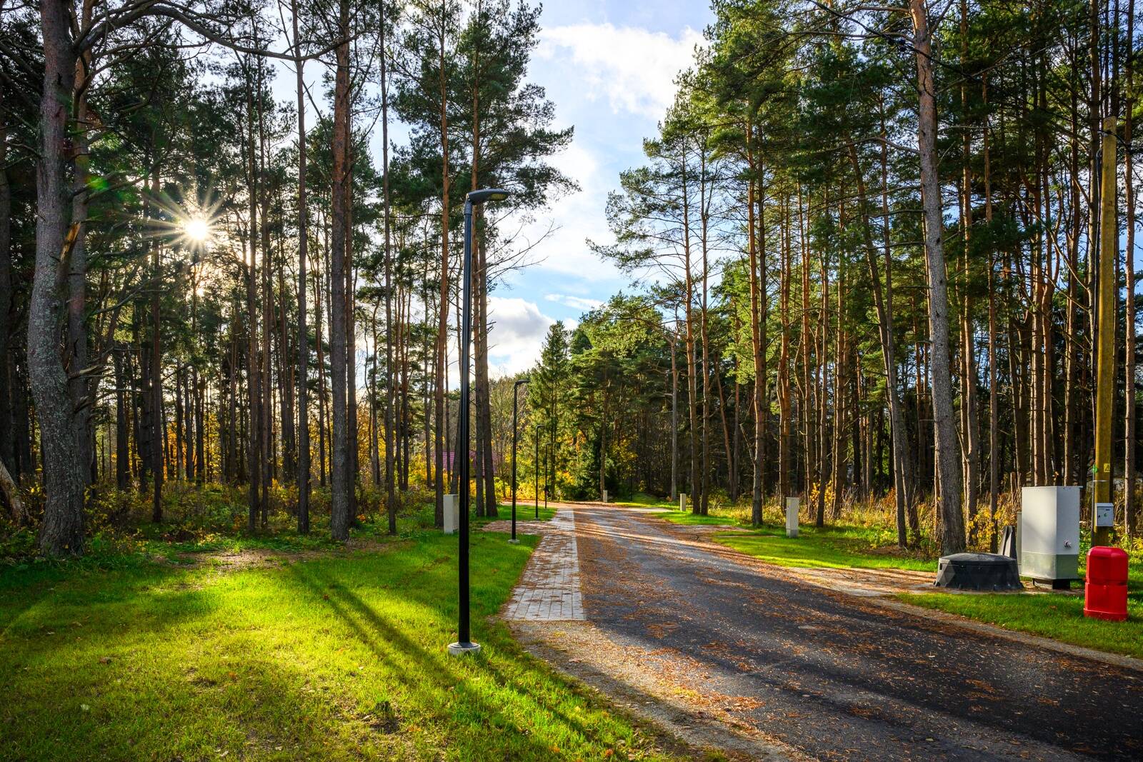 Kakumäe Paradiisi kõrghaljastusega eramukruntideni viib asfalteeritud ja valgustatud tee koos vajalike vee-, kanalisatsiooni- ja elektriliitumistega. Foto: Sven Zacek