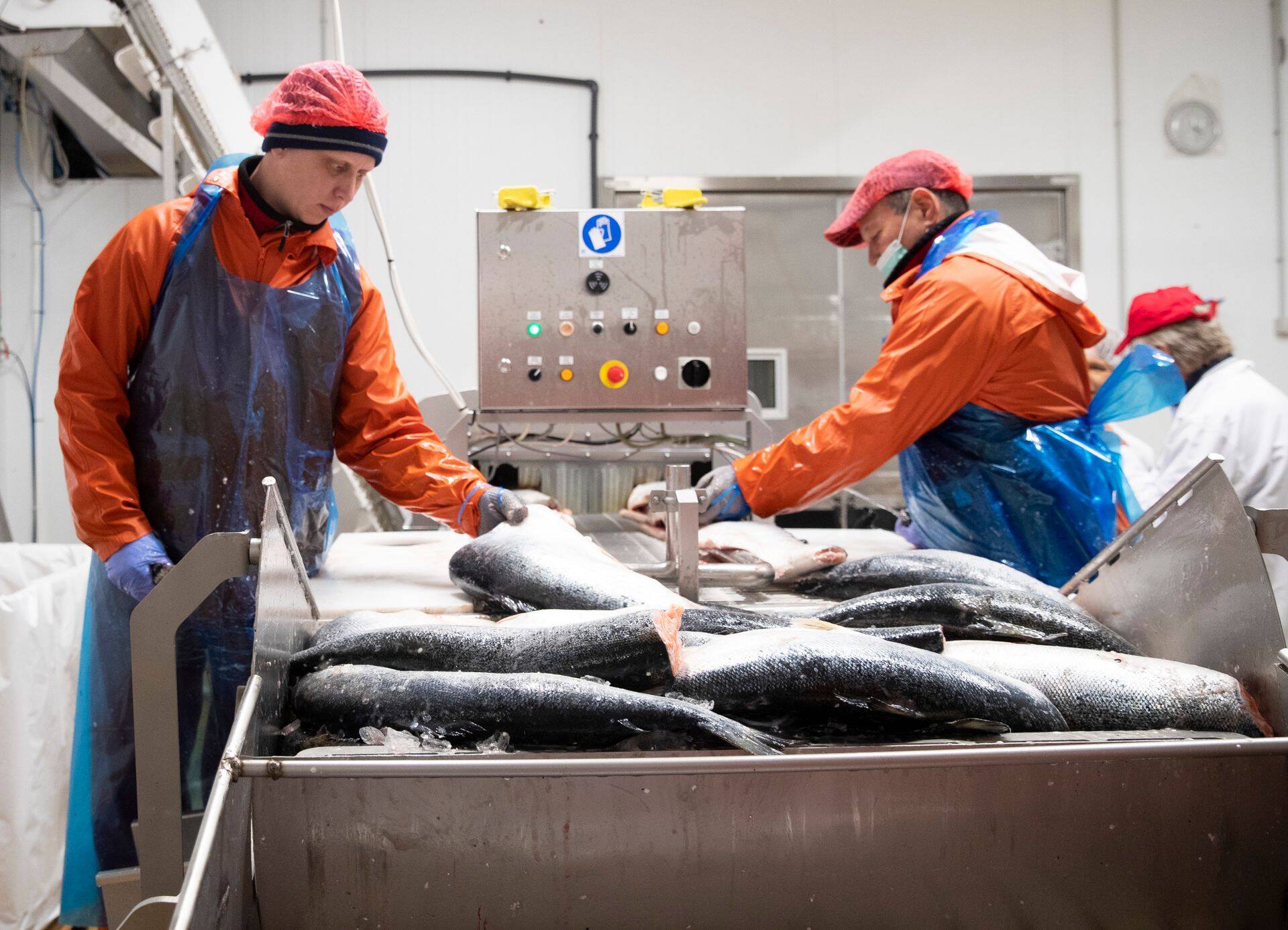 President Kersti Kaljulaid külastas Harjumaa ettevõtteid.