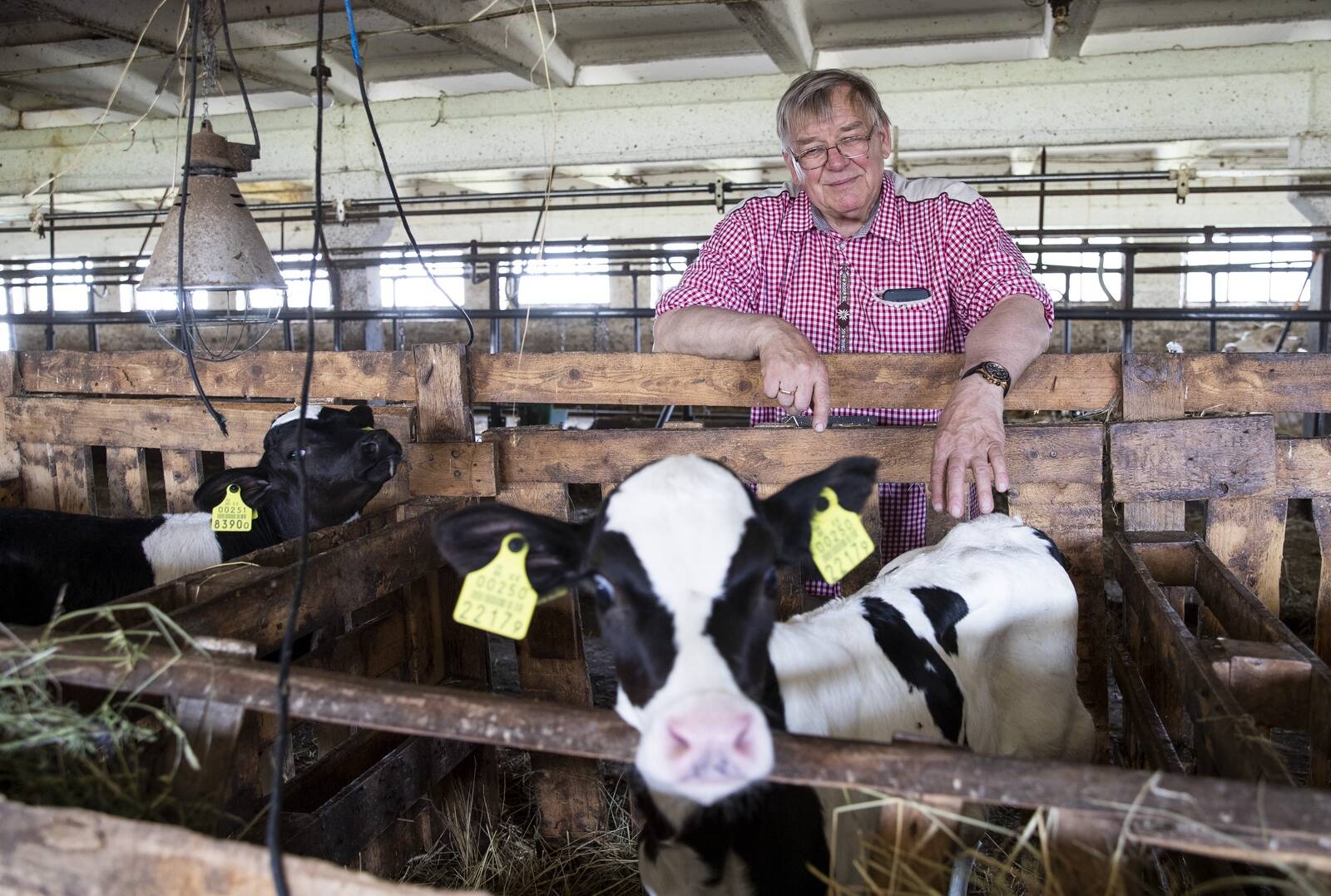Farmipidaja Juhan Särgava jagab soovitusi ka uuele valitsusele ja ministrile.