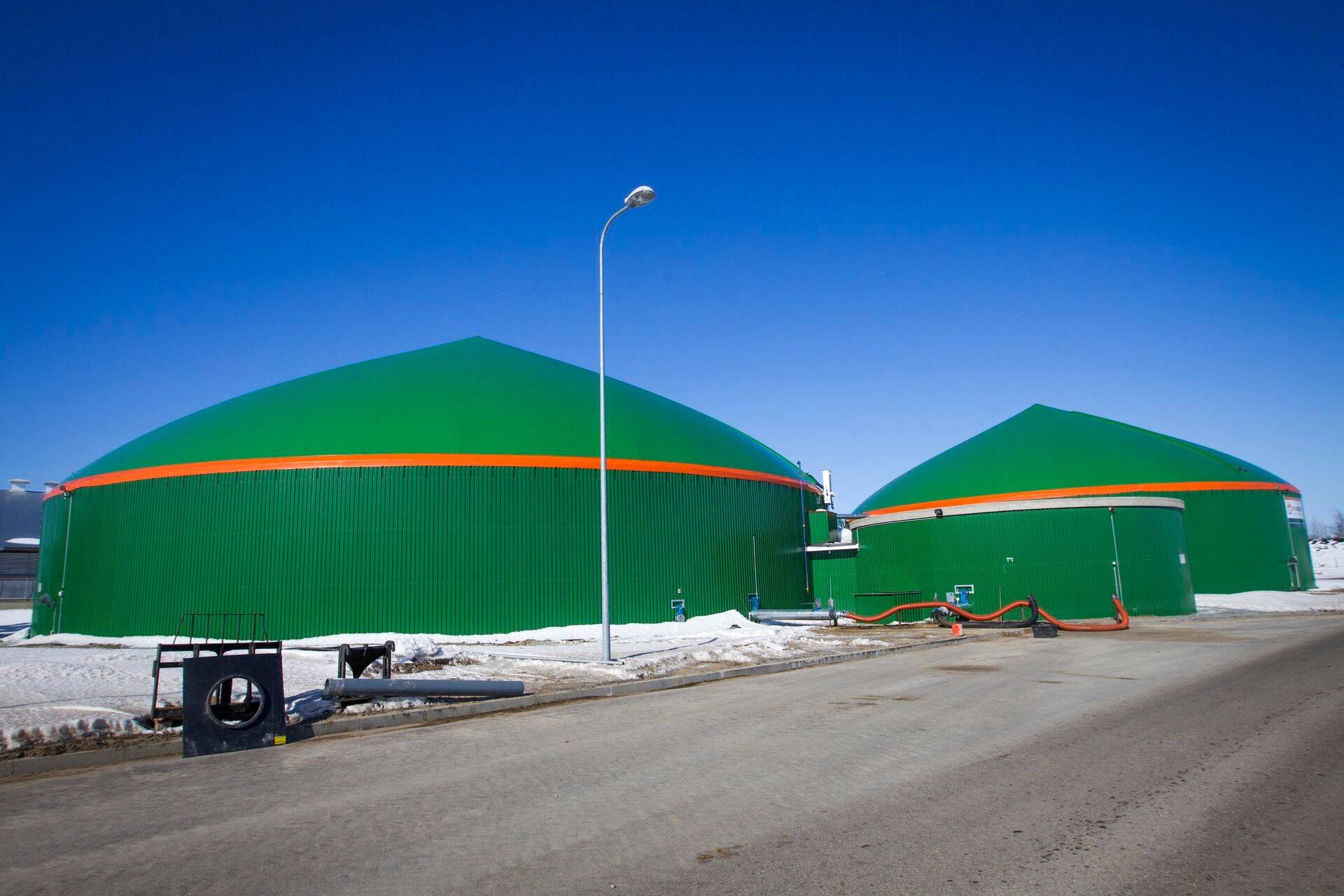 Eesti vajab pikaajalist vaadet biomajandusele