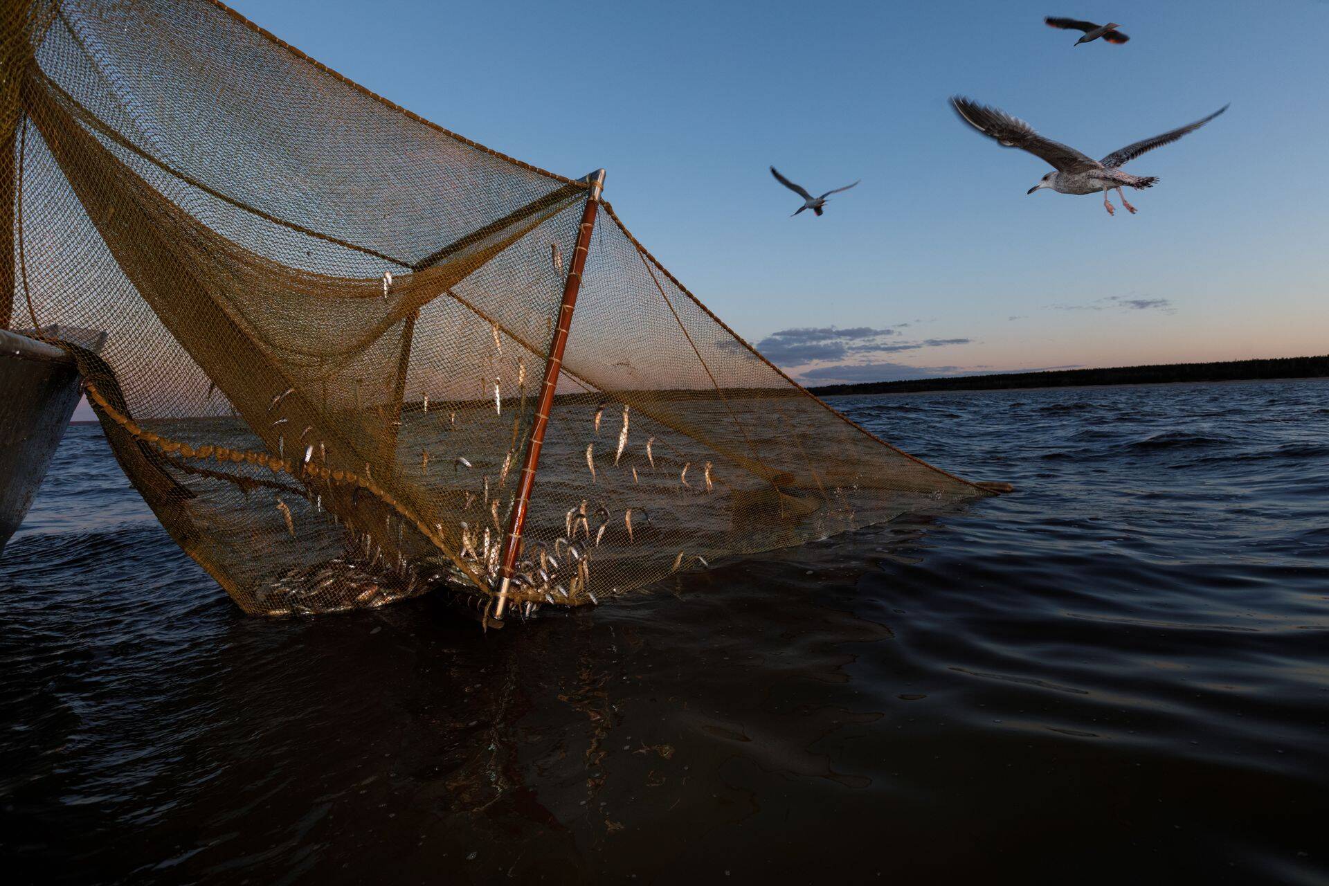 Kalandussektor on saanud tugeva majandusliku löögi.