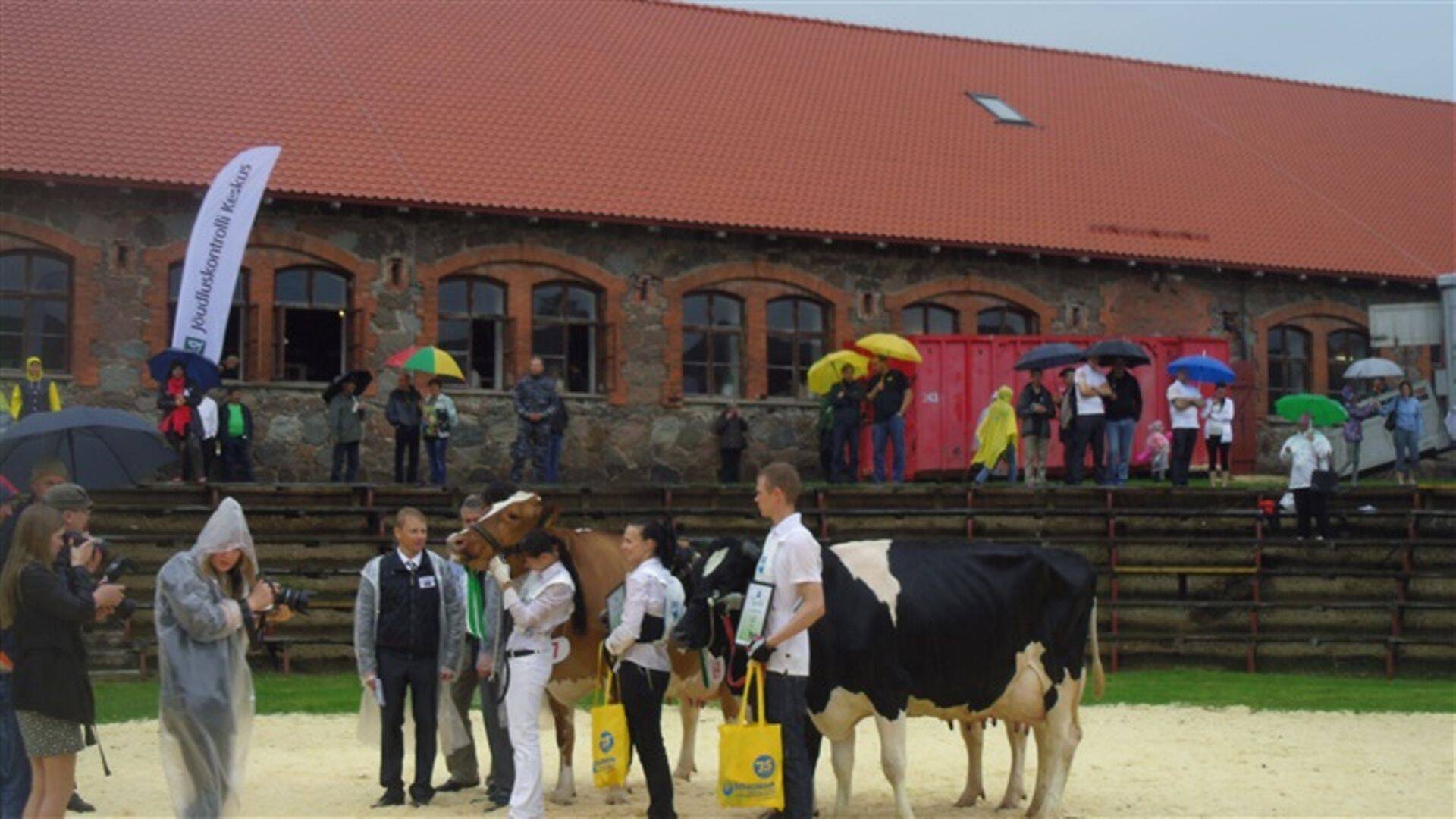 Eesti Põllumajandusmuuseumis Ülenurmes valiti kaunimad vissid.