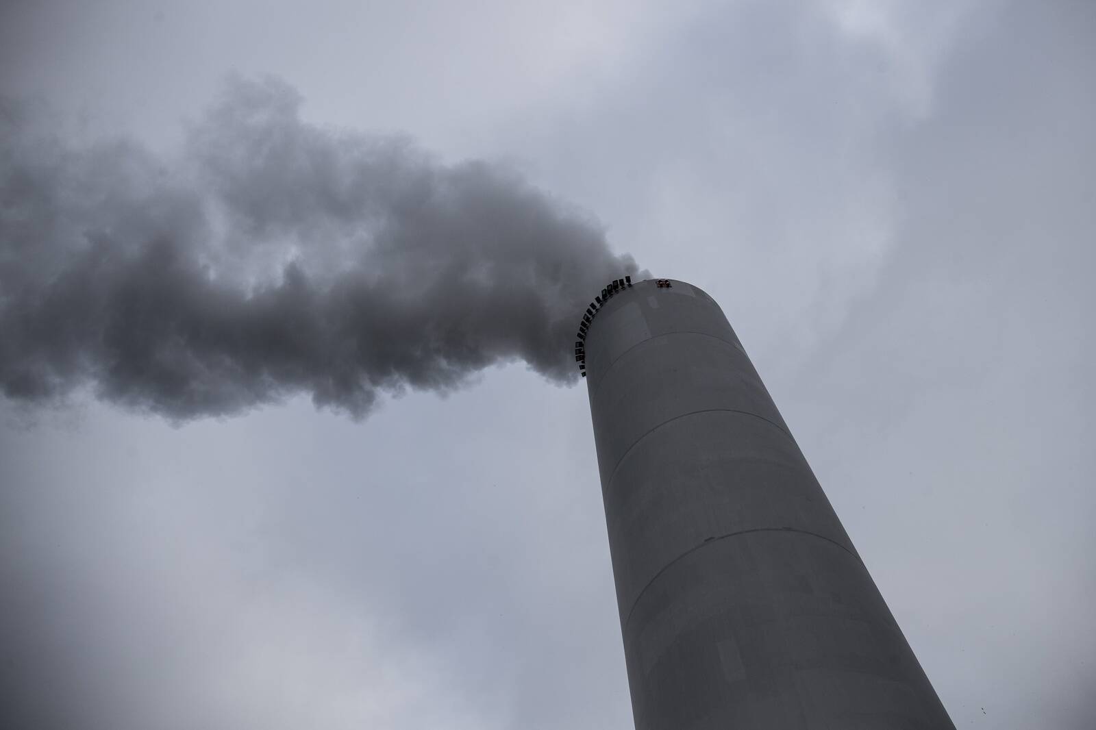 Igal aastal müüb riik enampakkumisel kindla hulga CO2 kvooti, mida ostavad ettevõtjad. Nii laekub riigikassasse heitmekvootide müügist saadud tulu.