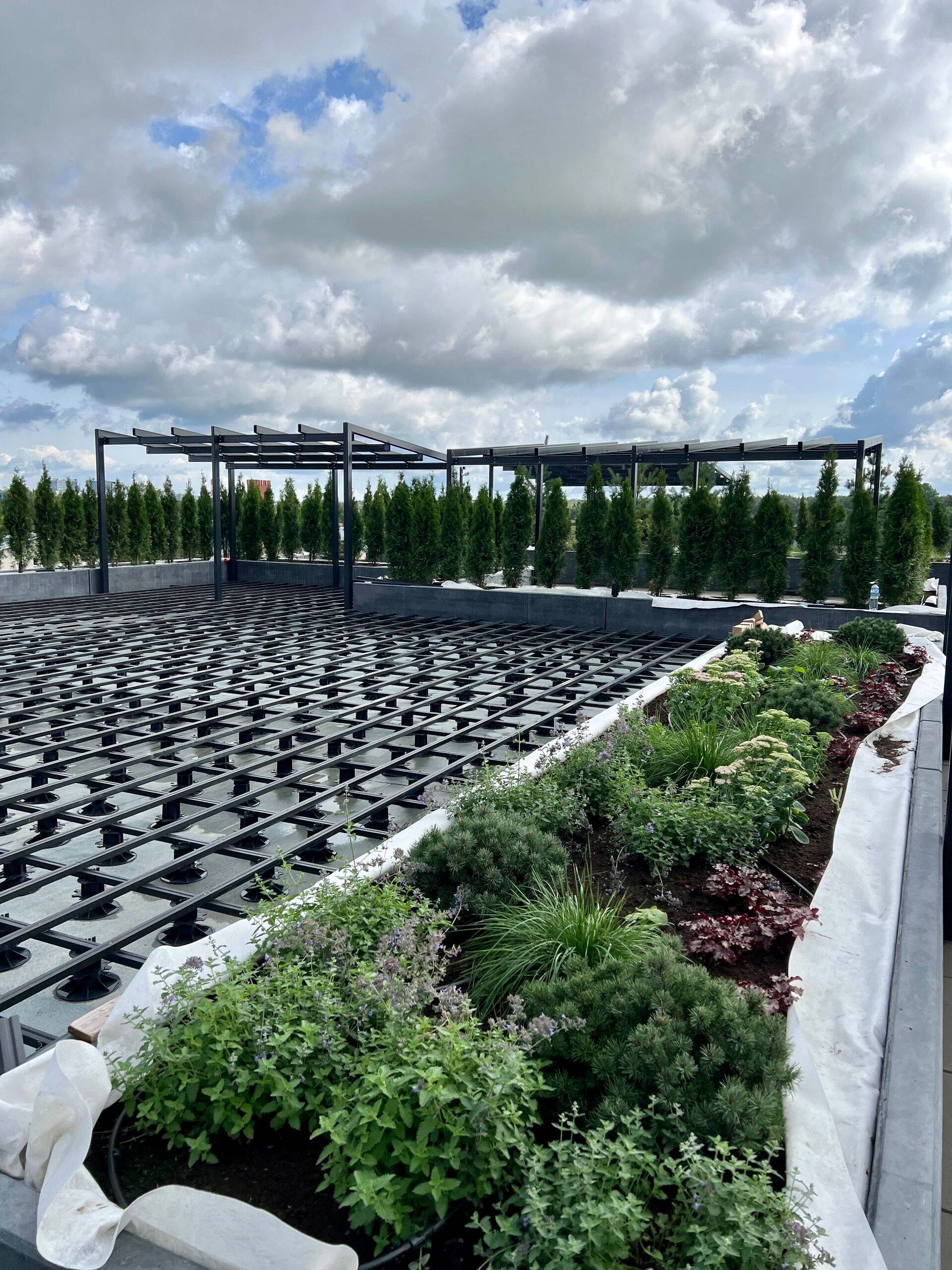 Katuseaia haljastus on juba valmimas.