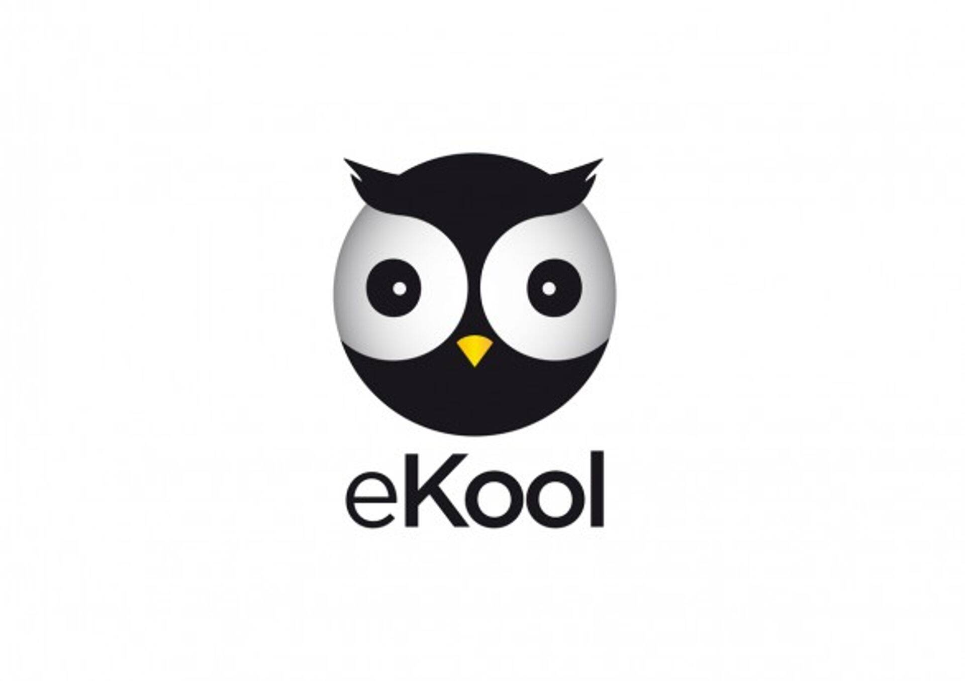 Платформа "eKool" собирается выйти на зарубежный рынок