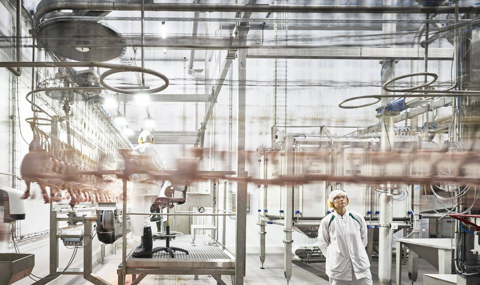 Rauma broileritehas pidi algselt maksma minema 80 miljonit eurot, ent lõpuks kasvas hind juba 118 miljoni euroni.