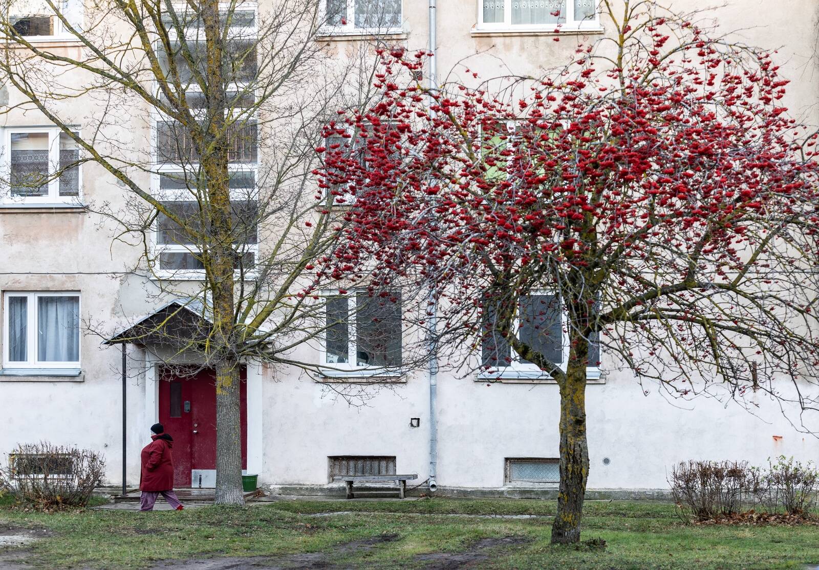 Analüütiku teatel on tallinlased sel aastal saanud soetada endale suuremaid kortereid kui aasta tagasi. Teemat avame neljapäeval hommikuprogrammis.