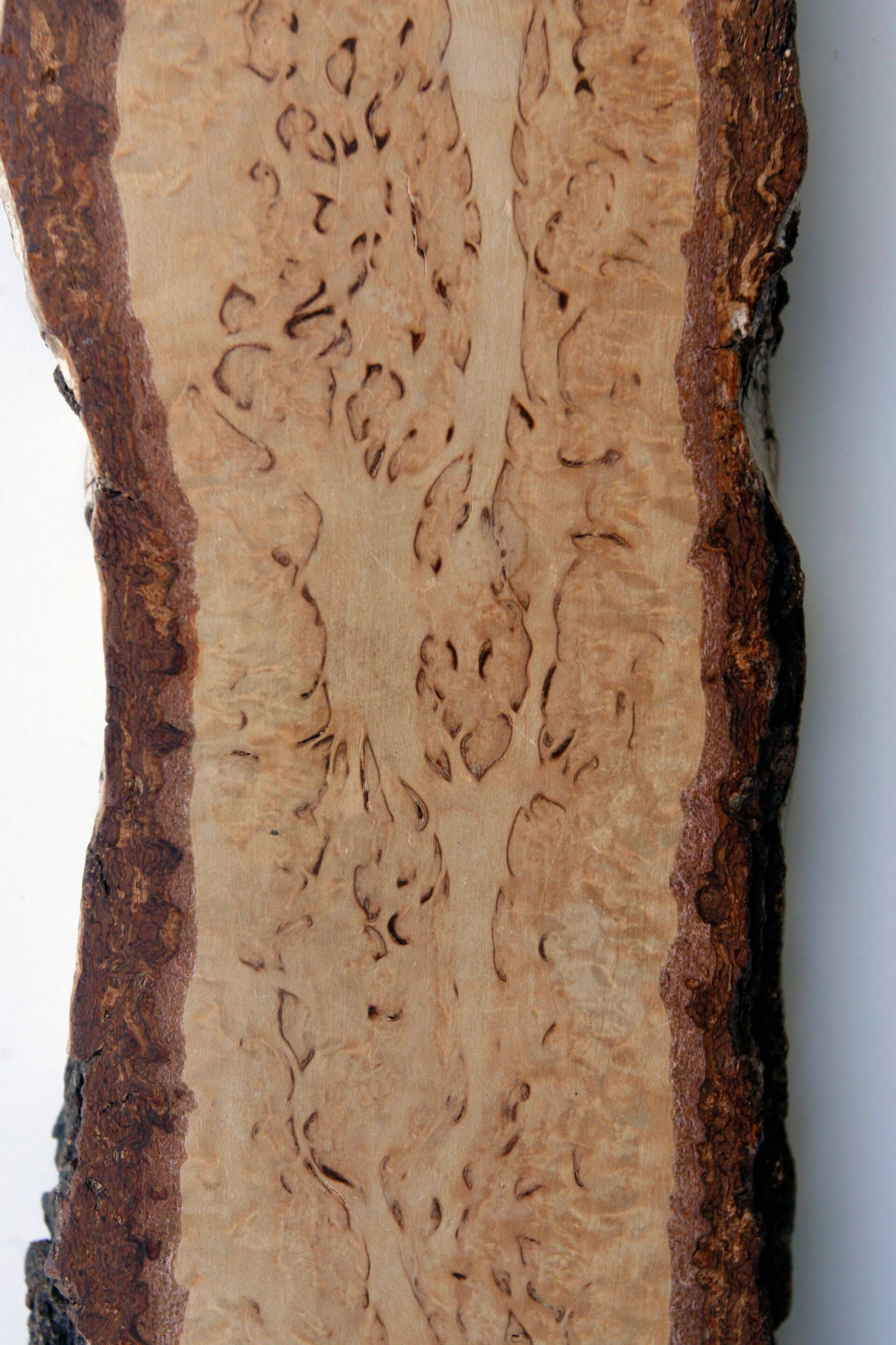 Metsä Grupi vineeritehas saab EASilt hiigeltoetuse