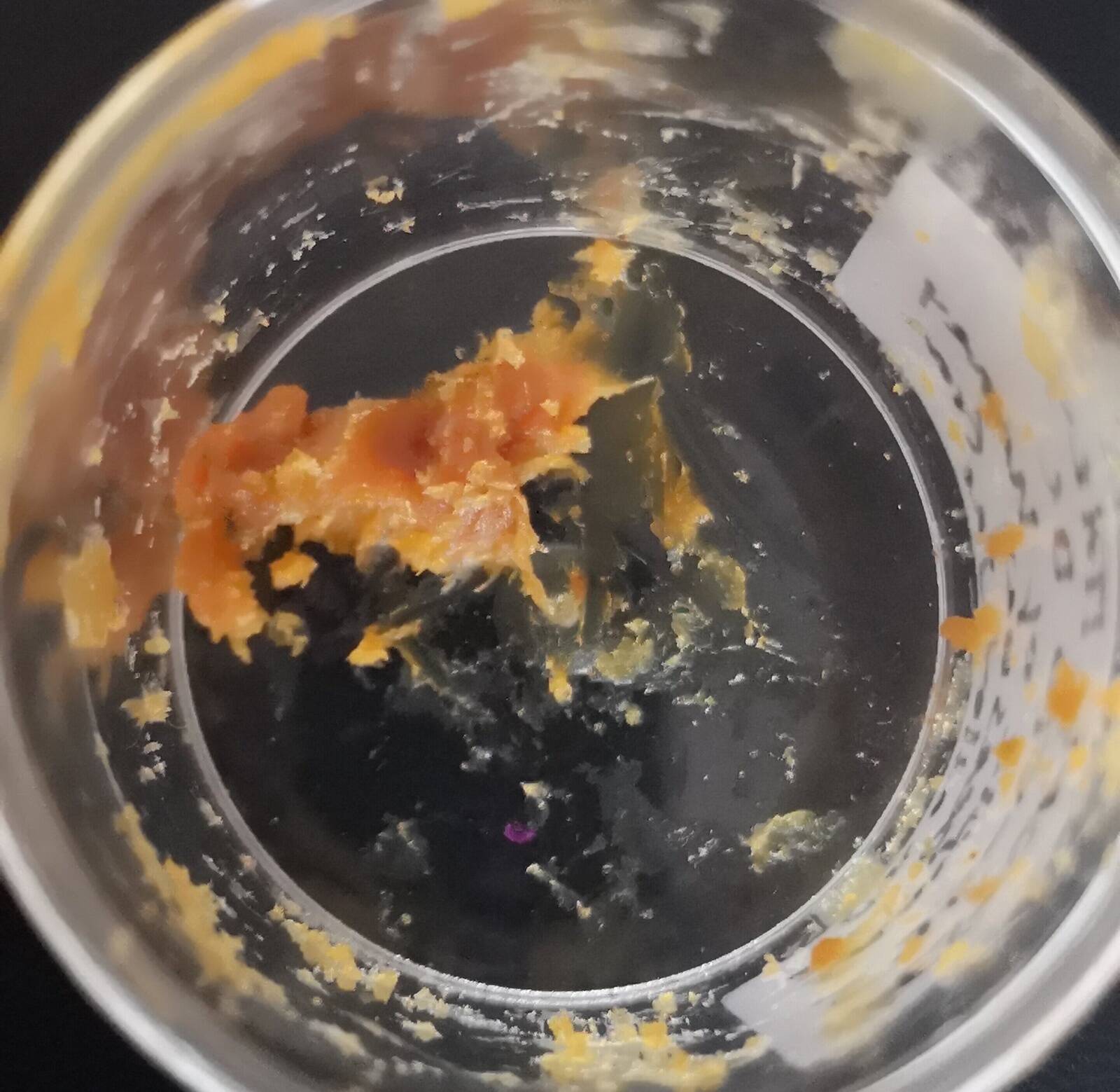 Itaaliast leiti 2500-aastast mett