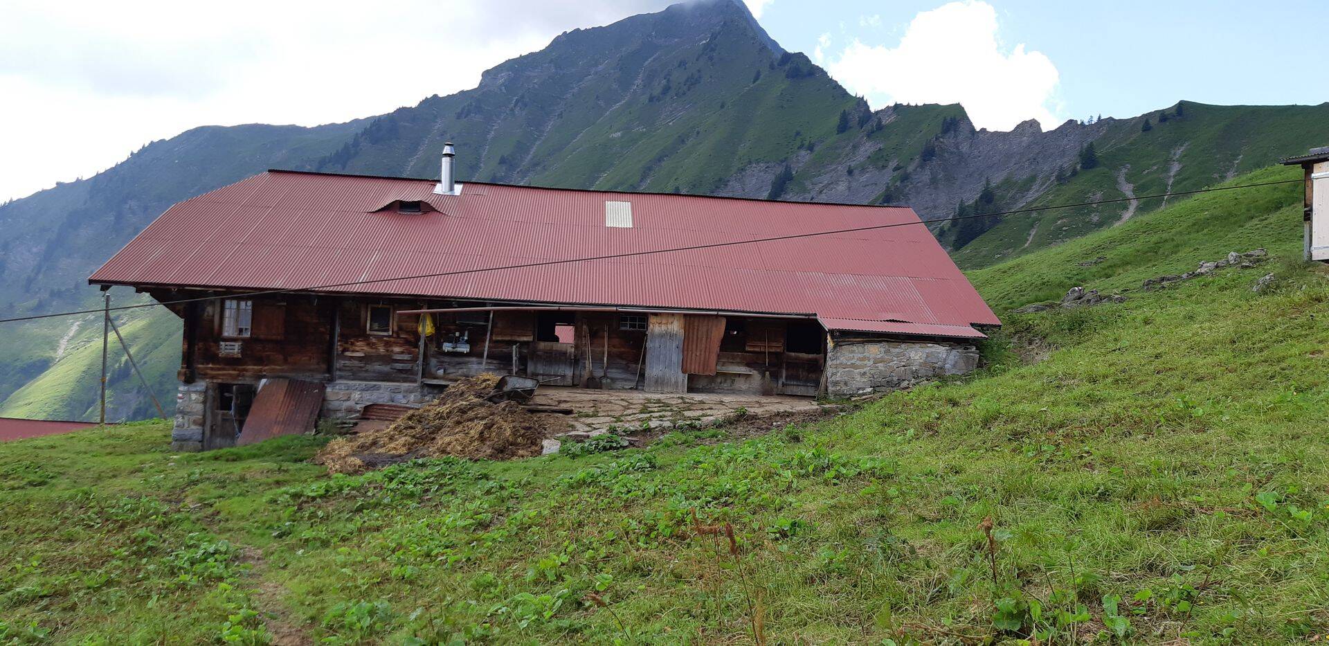 Piimafarm Nieseni mägedes Šveitsis.