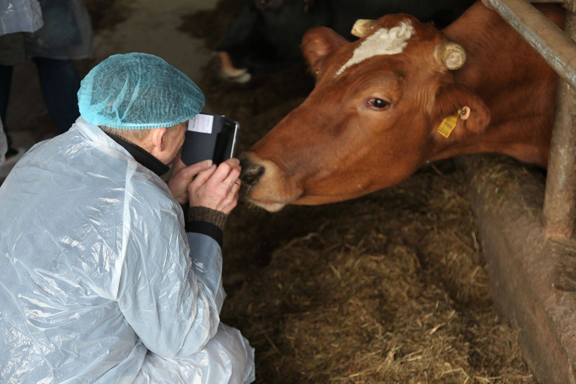 Ühistel õppepäevadel külastatakse ka ettevõtteid, nii käidi uudistamas Lõunapiim OÜ farmi.
