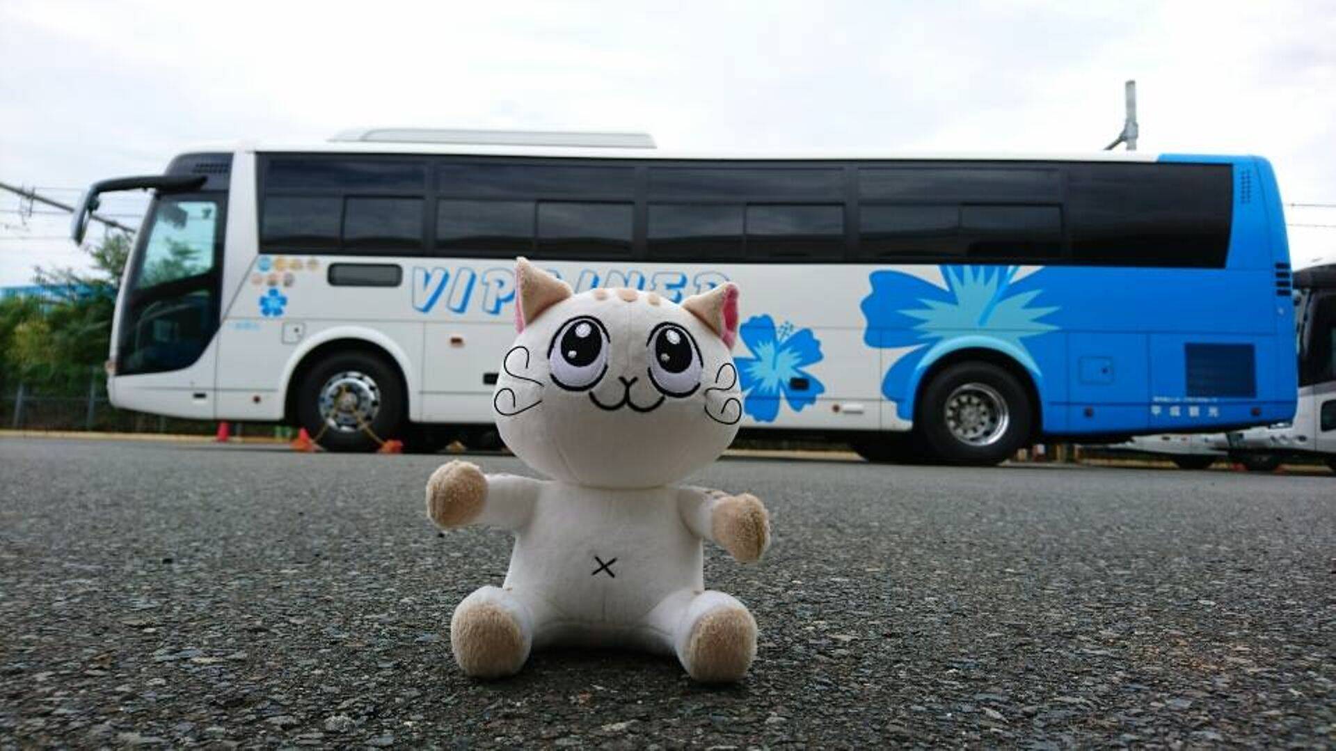 Heisei Enterprises buss.