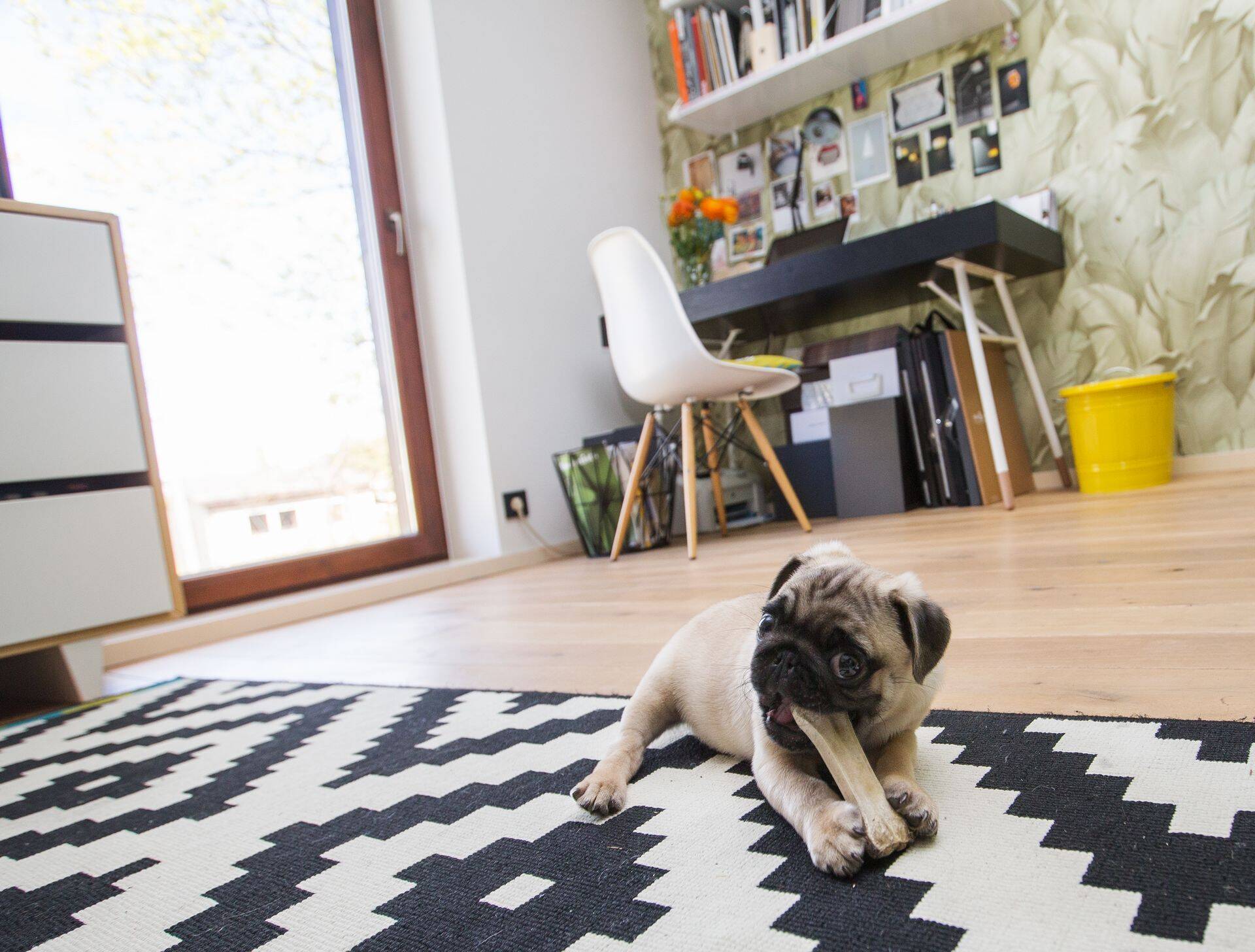 Цены на квартиры начали падать