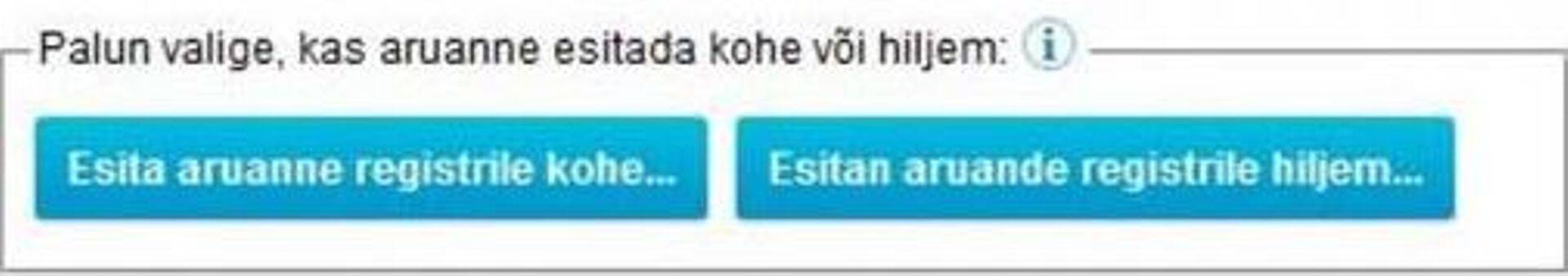 majandusaasta aruande esitamine