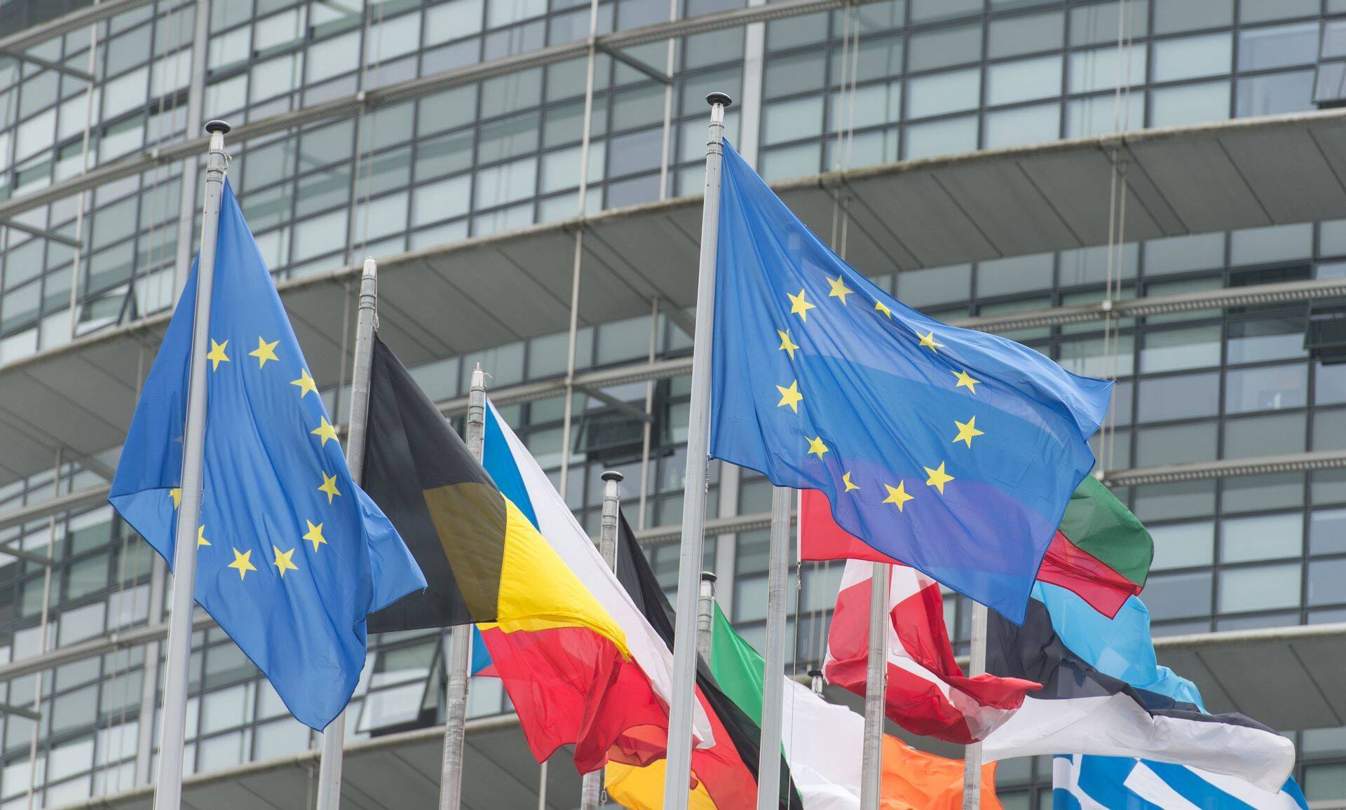Lipud Euroopa parlamendi ees.