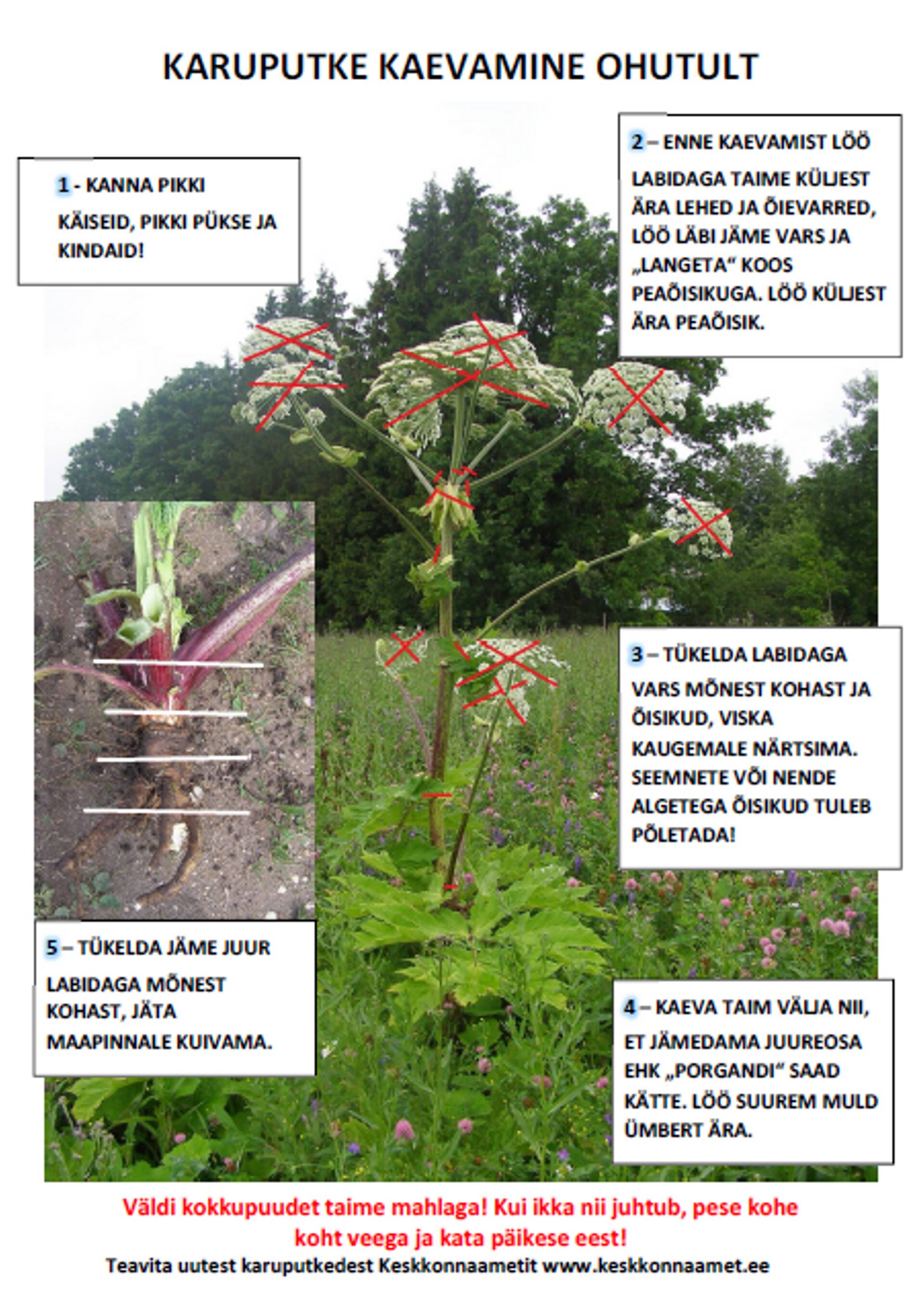 Karuputke tõrjumise juhend