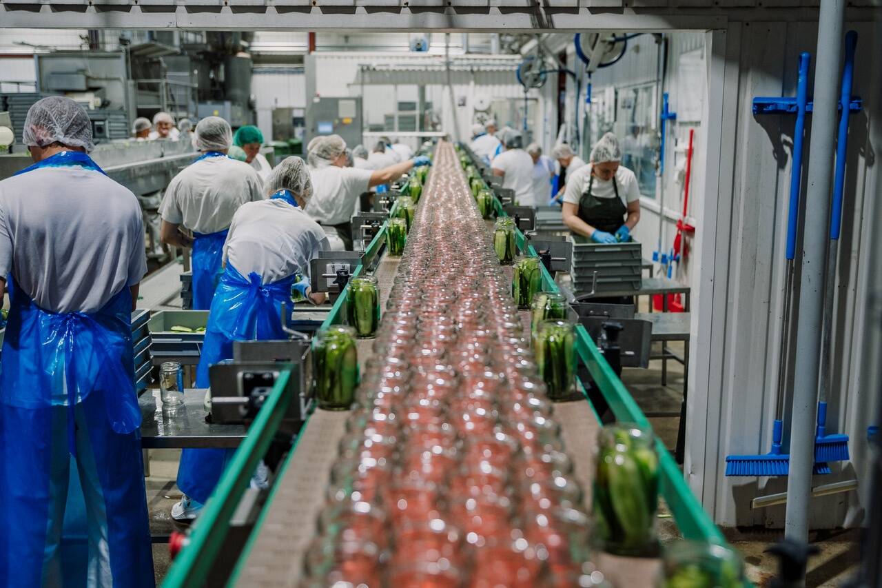 Põltsamaal pannakse purki 2 miljonit kilo kurki, kõrvitsat ja kapsast.