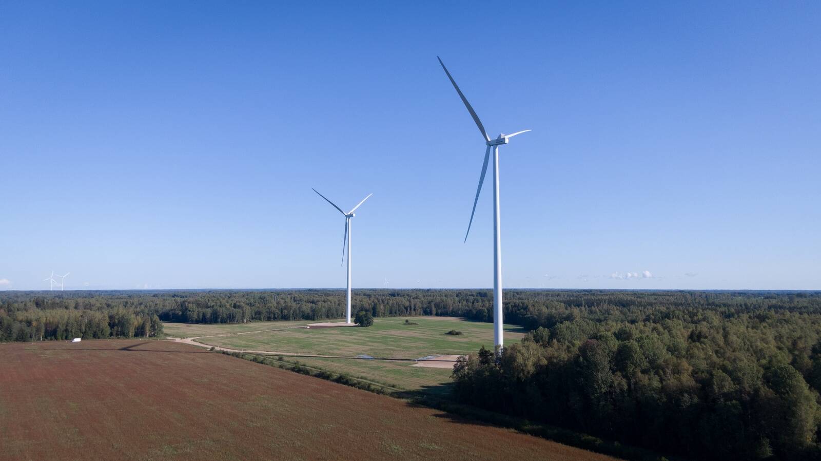 Иллюстративное фото.