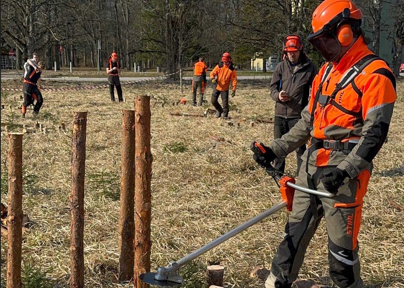 Alates sügisest saab omandada võsasaetöölise kutset.
