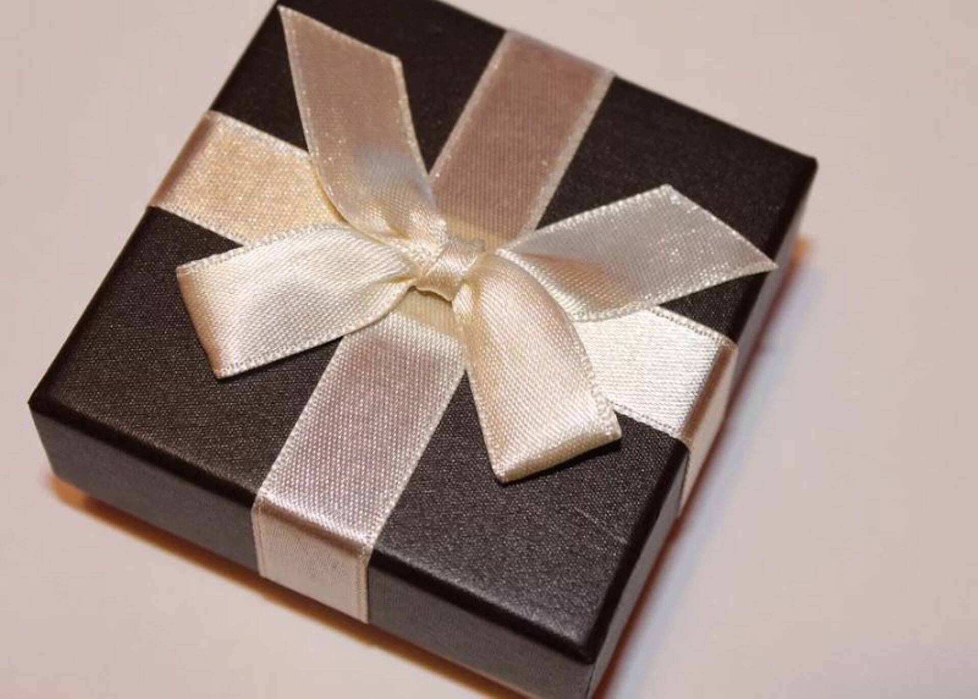 Meeleavaldus toob Riigikogu ette ülisuure kingipaki.