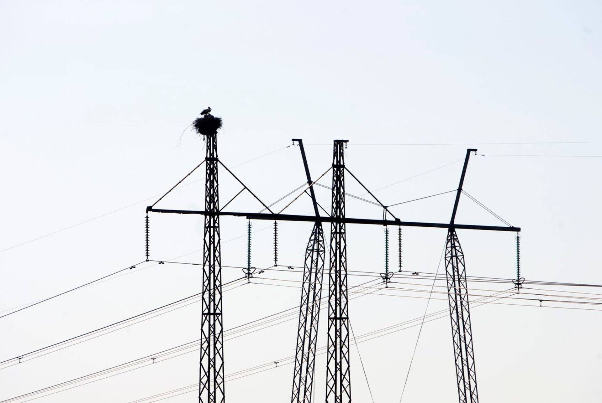 Riigile kuuluv elektrivõrgu ettevõte Elektrilevi saab riigilt 20 miljonit eurot toetust, et ehitada internetiühendus sinna, kuhu teised minna ei taha.