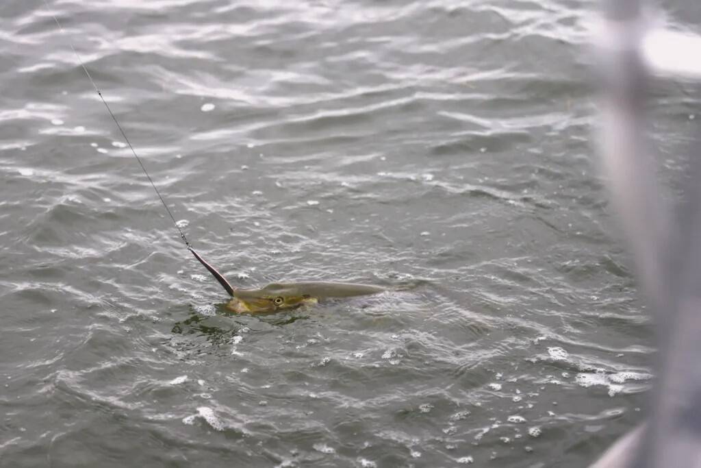 Käsitöölant Hiiu Haug – suurtele kaladele see meeldib!