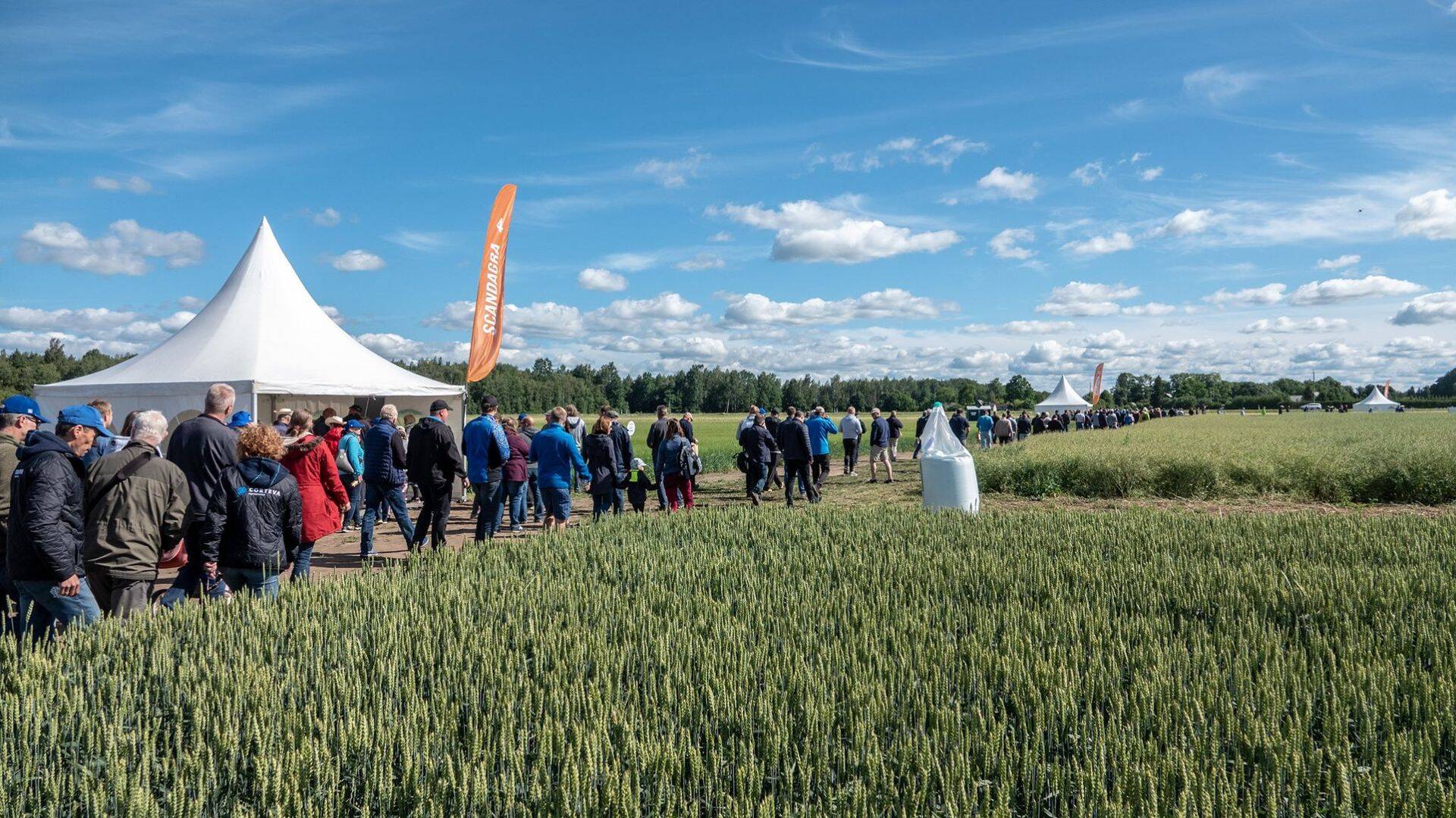 Scandagra põllupäev Järvamaal, Estonia OÜ põldudel.