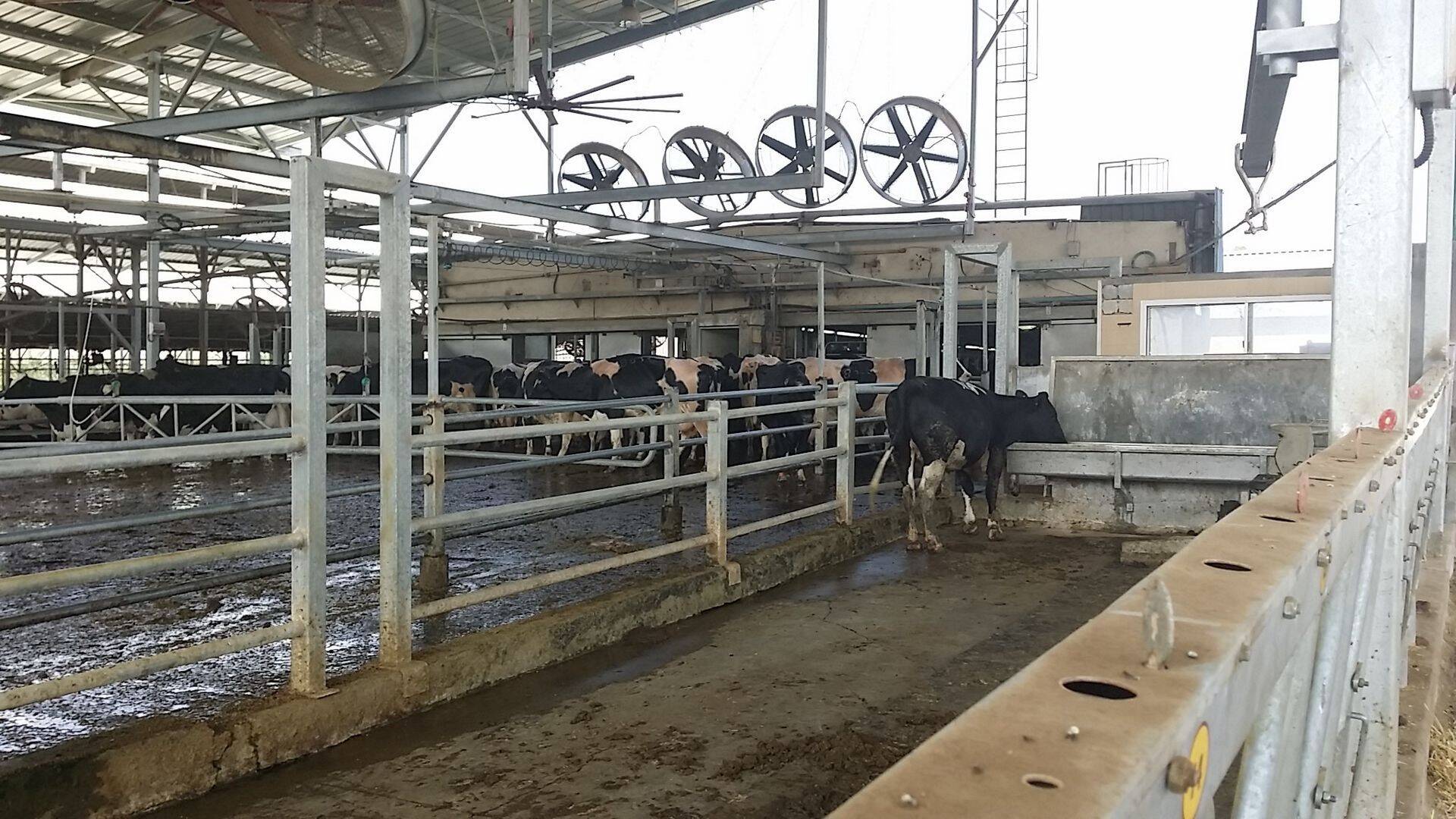 Ooteala ja samas ka kuuma ilmaga jahutusala