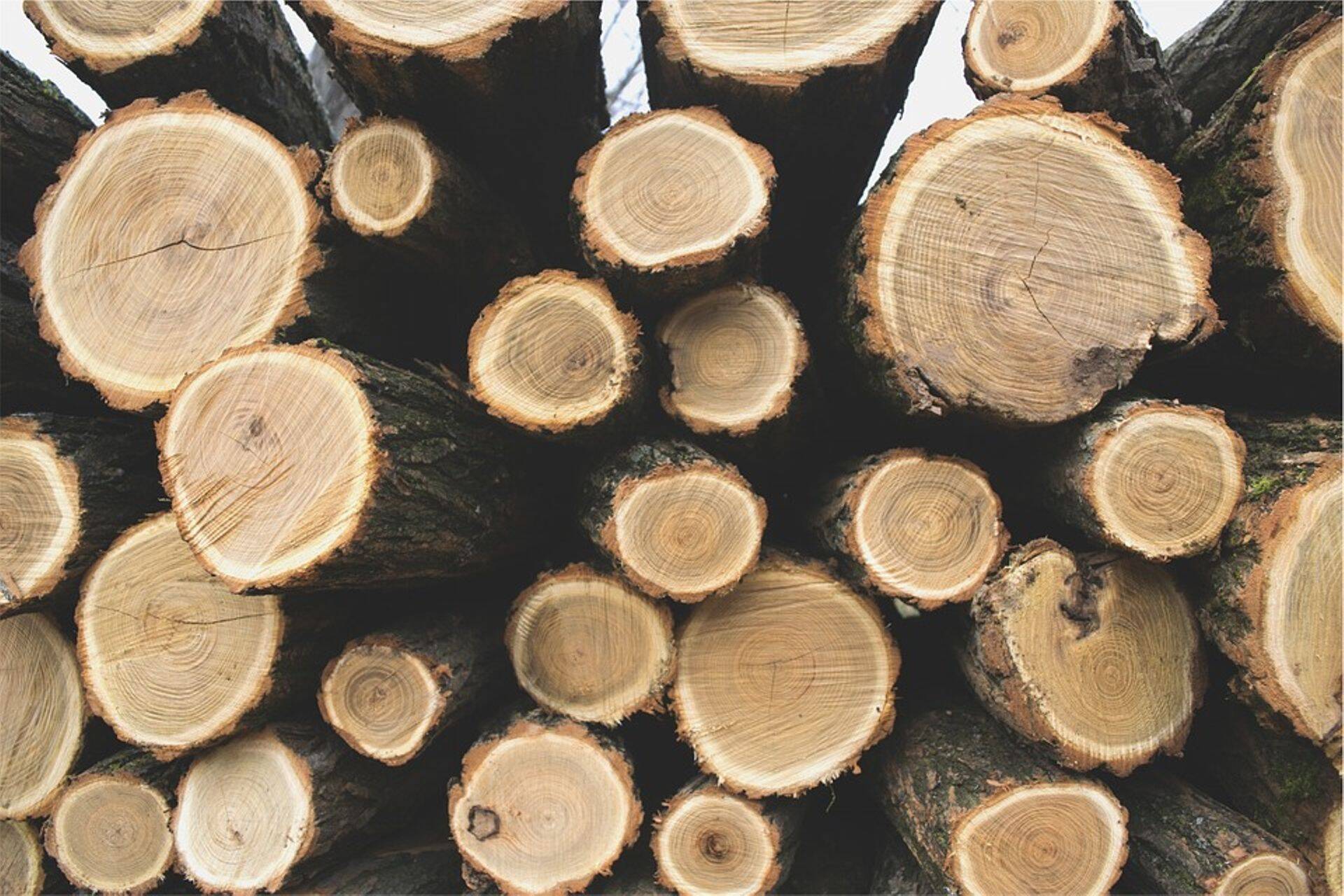 Metsä Forest: Eesti puidutööstusel läheb tänavu hästi