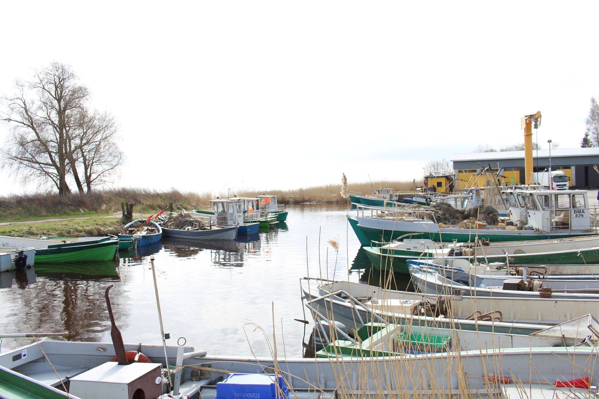 Üle-eestiline avatud kalasadamate päev toimub taas.