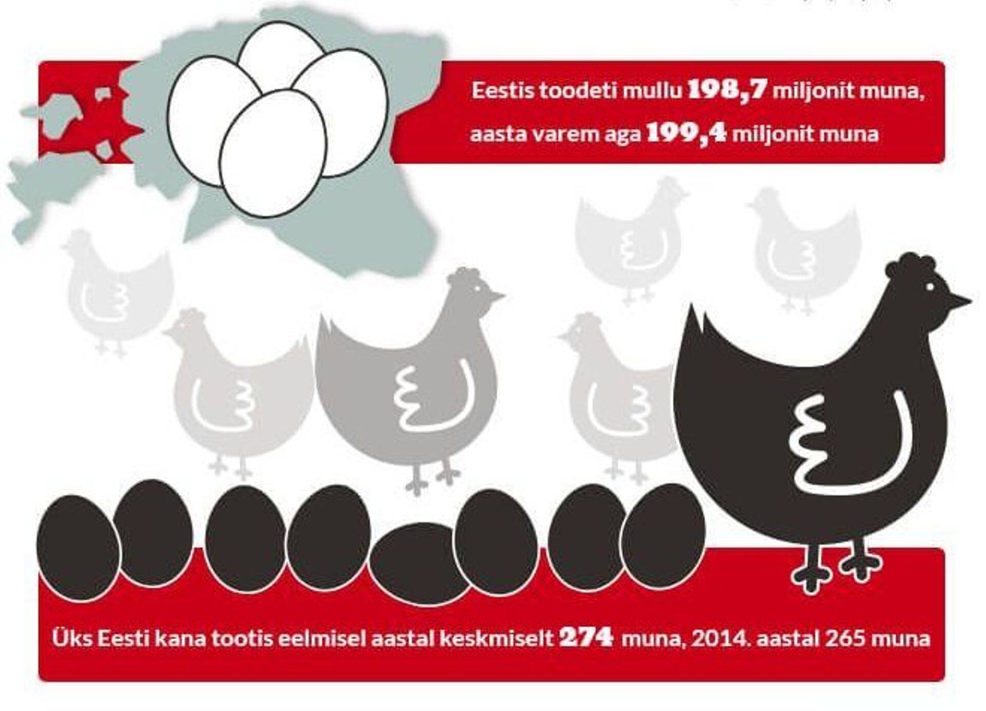 Eestlased söövad sama palju mune kui eurooplased keskmiselt – 12 kuni 13 kilo inimese kohta aastas.